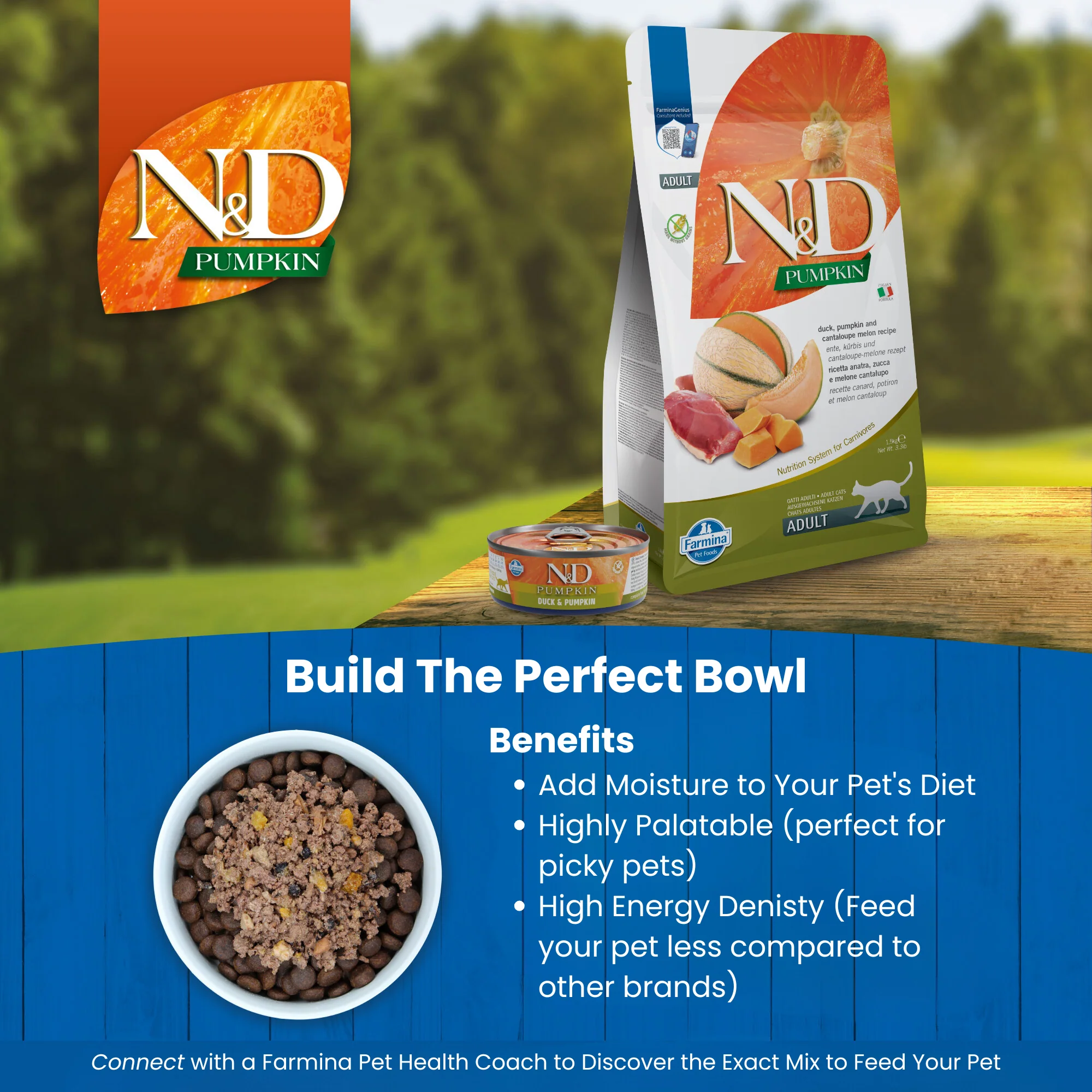 N&D Pumpkin Adult Wet Cat Food - Duck & Pumpkin - Image 5