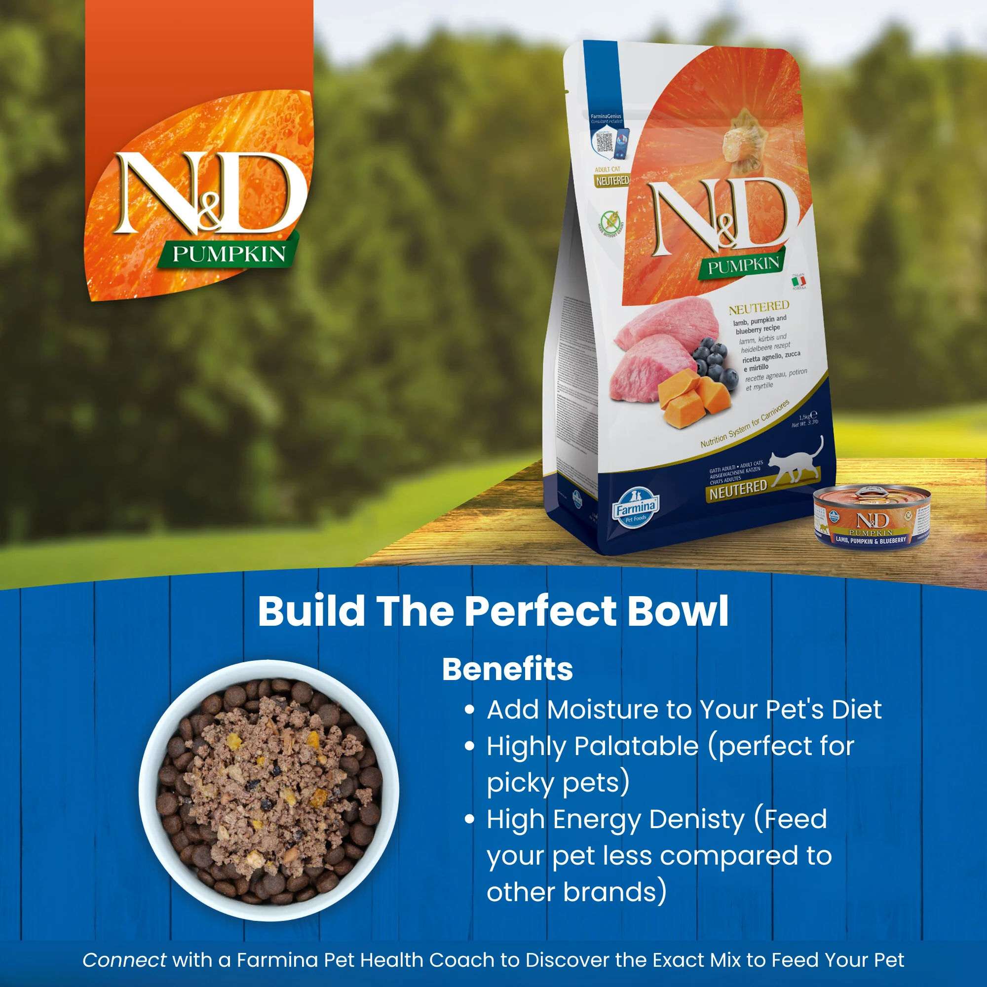 N&D Pumpkin Adult Wet Cat Food - Lamb, Pumpkin & Blueberry - Image 5