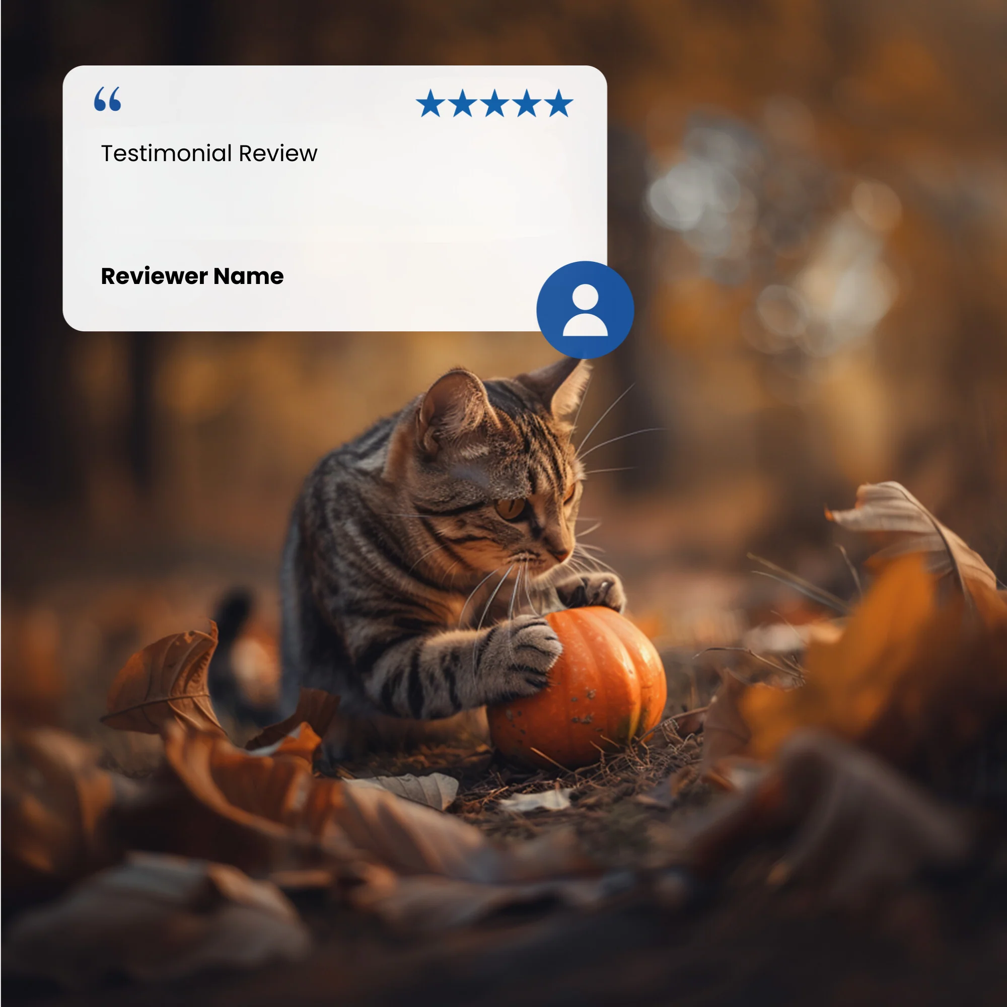N&D Pumpkin Adult Wet Cat Food - Venison & Pumpkin - Image 4