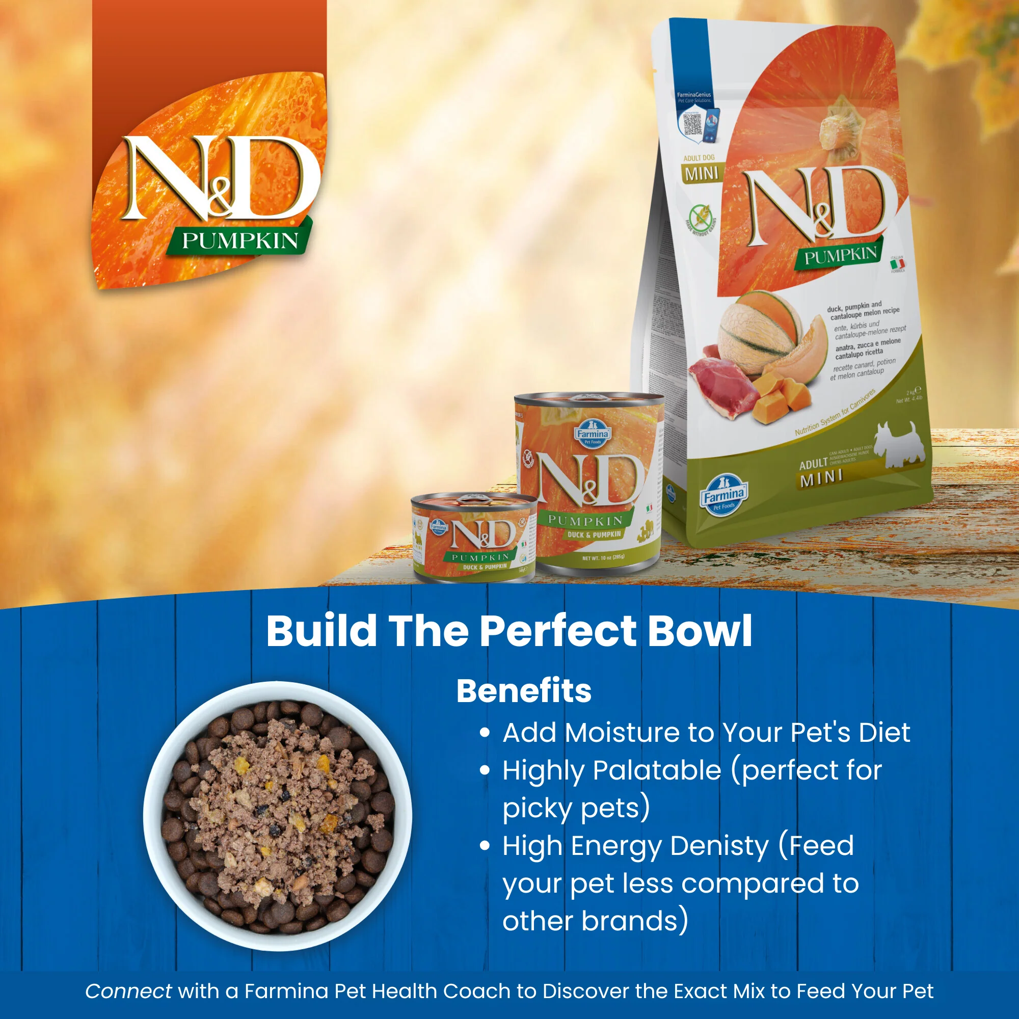 N&D Pumpkin Adult Wet Dog Food - Duck & Pumpkin - Image 6