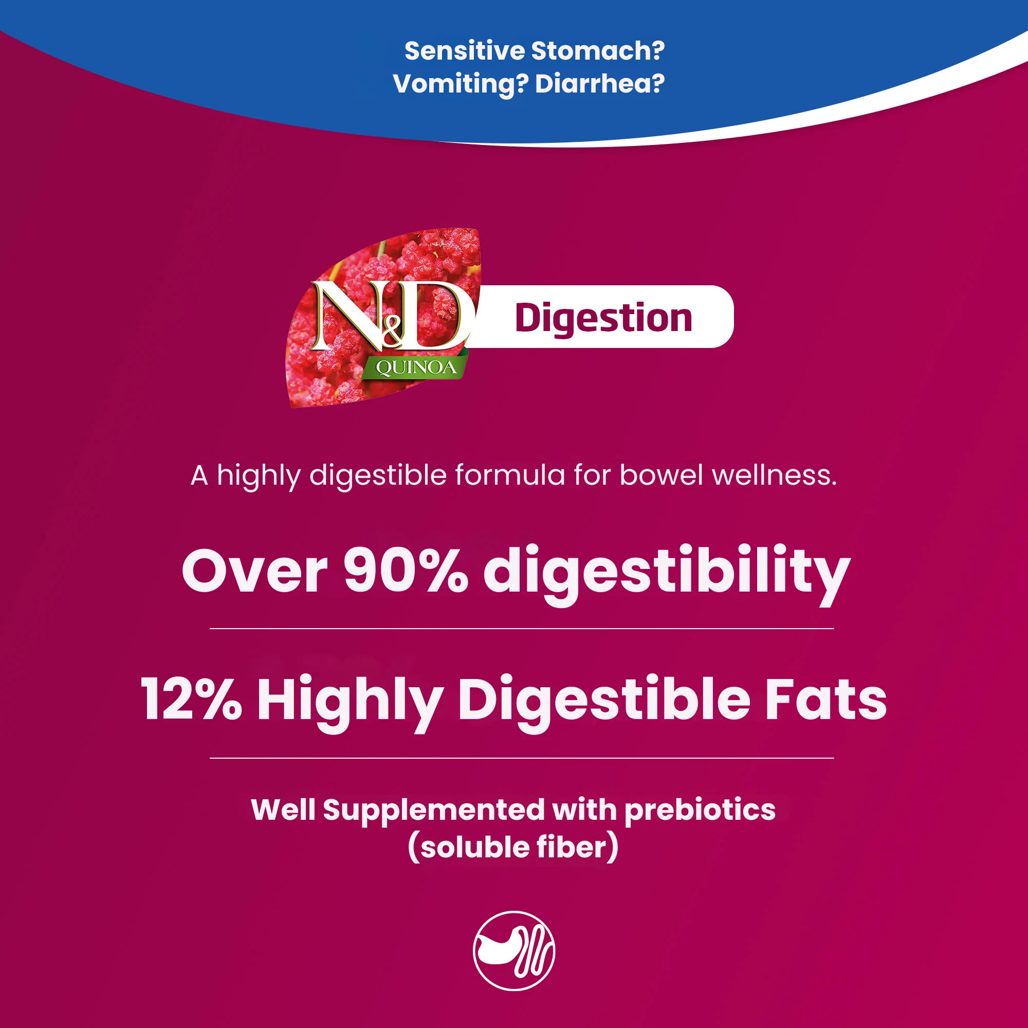 N&D Quinoa Digestion Adult Mini Wet Dog Food - Image 3