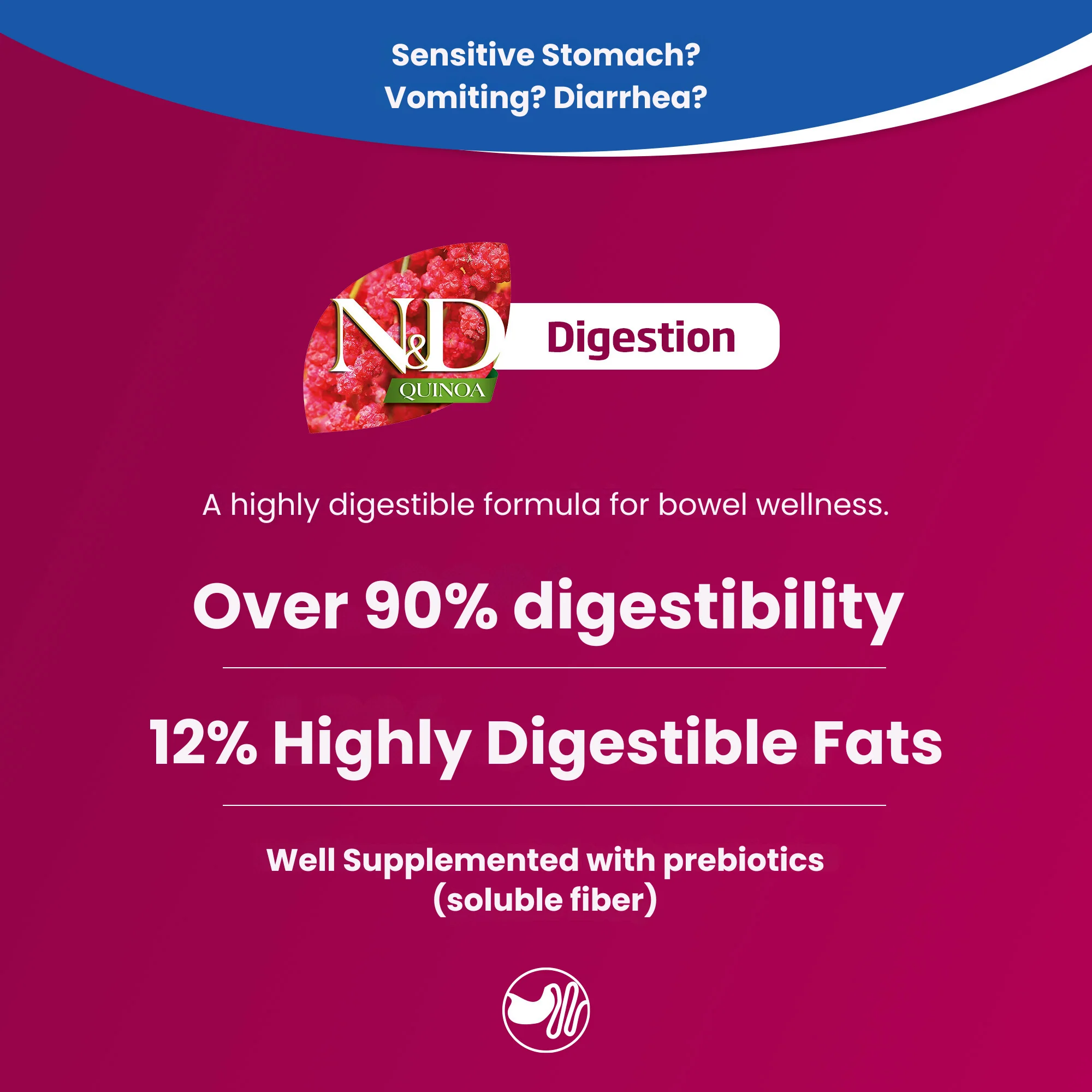 N&D Quinoa Digestion Adult Wet Cat Food - Image 3