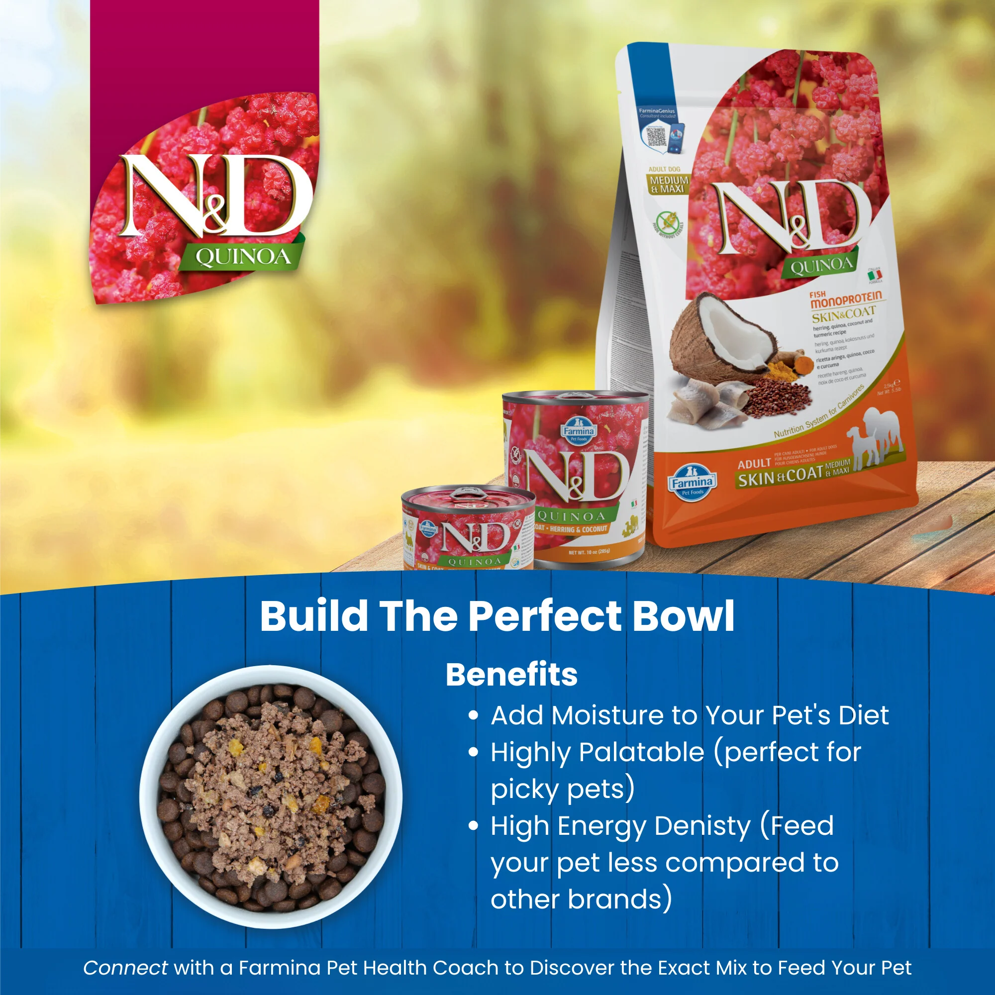 N&D Quinoa Skin & Coat Adult Wet Dog Food - Herring & Coconut - Image 6