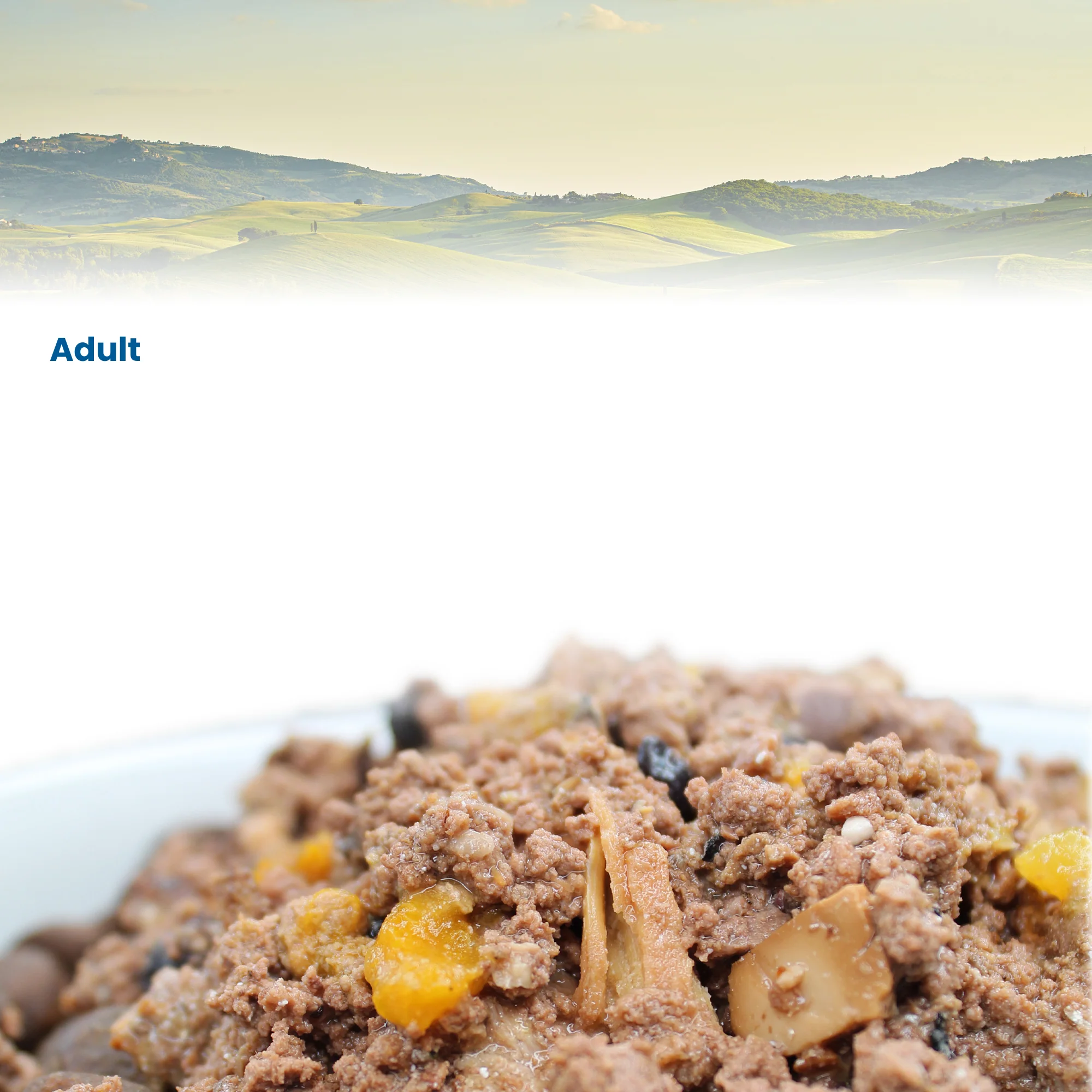 N&D Quinoa Urinary Adult Wet Cat Food - Image 5