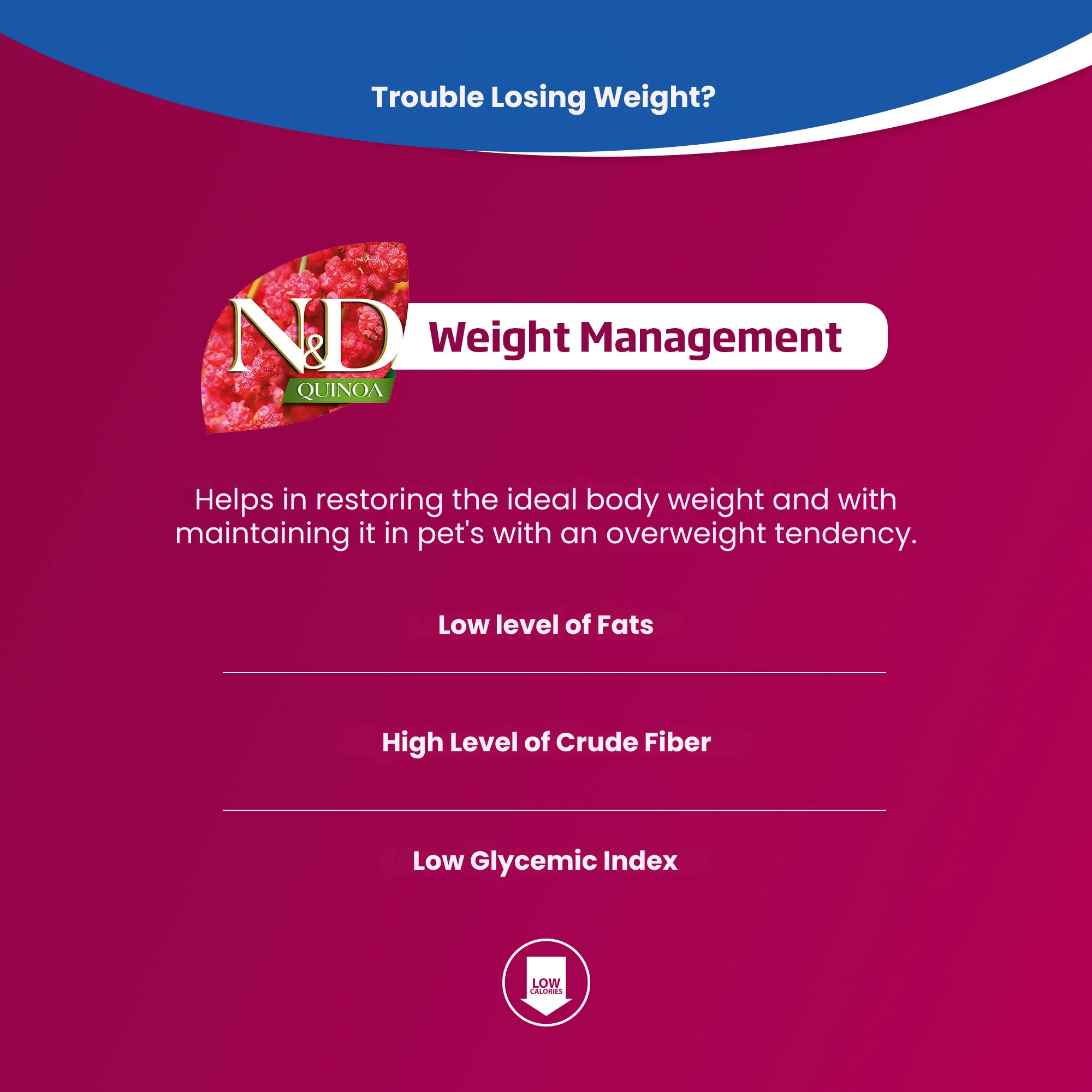 N&D Quinoa Weight Management Adult Wet Cat Food - Image 3