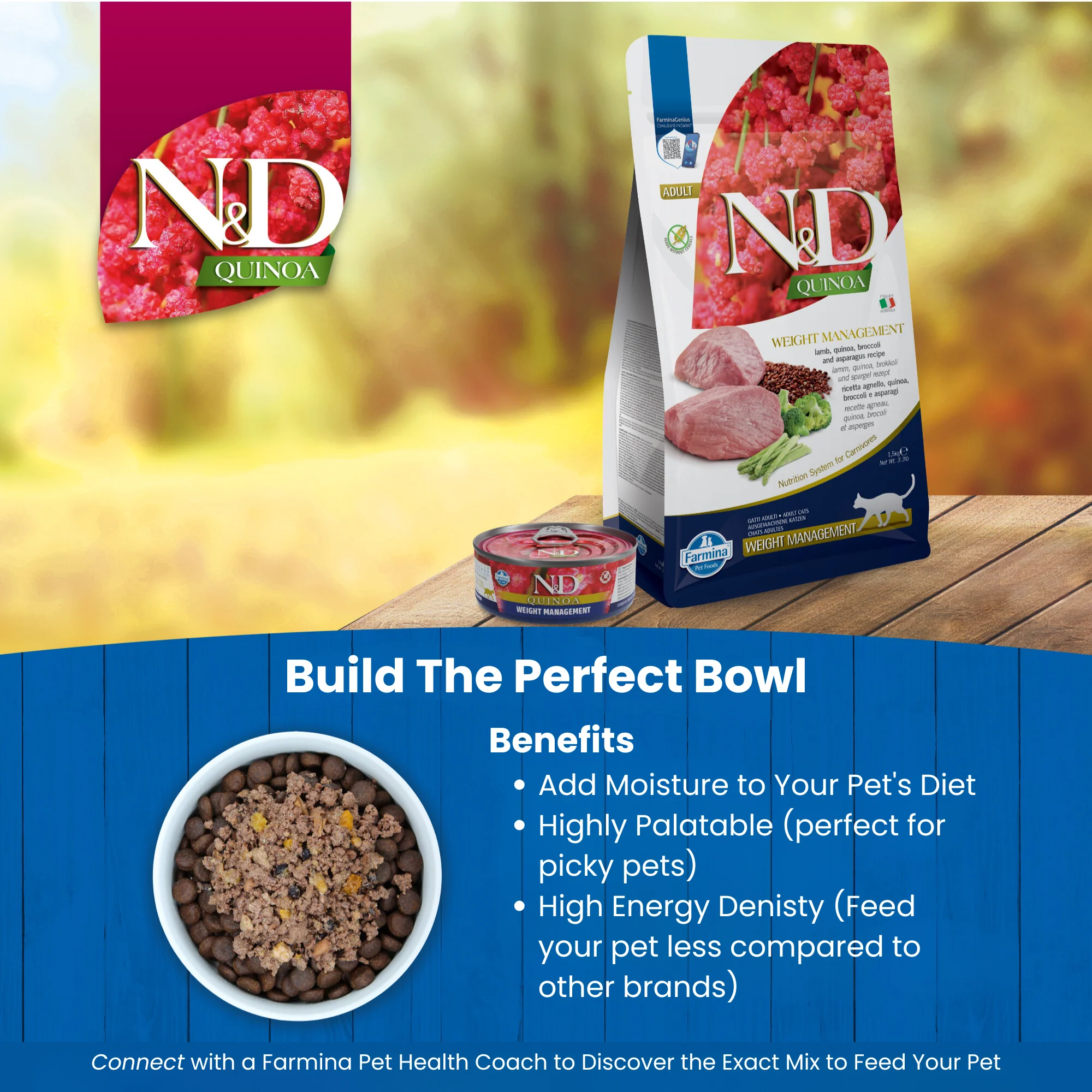 N&D Quinoa Weight Management Adult Wet Cat Food - Image 6