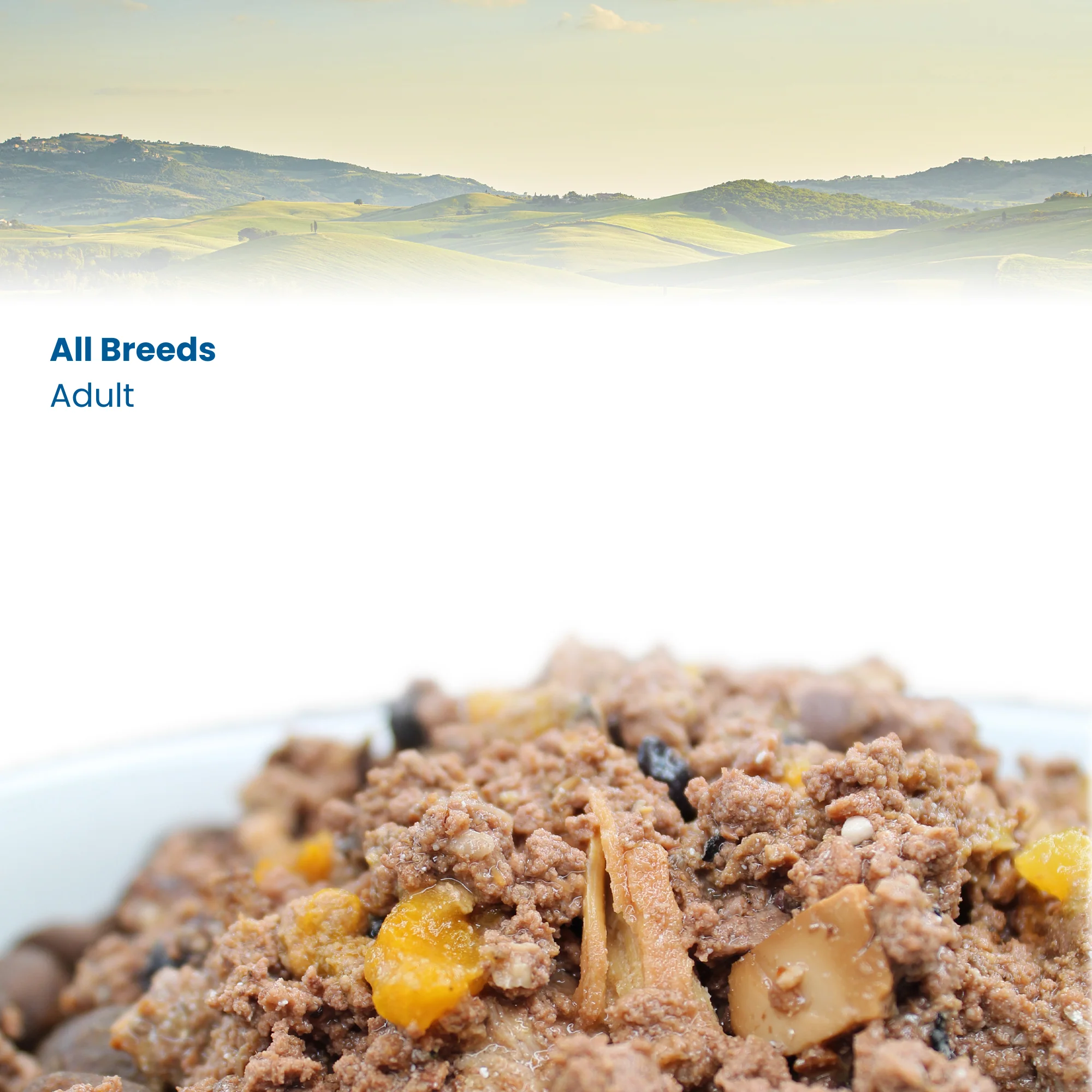 N&D Quinoa Weight Management Adult Wet Dog Food - Image 5