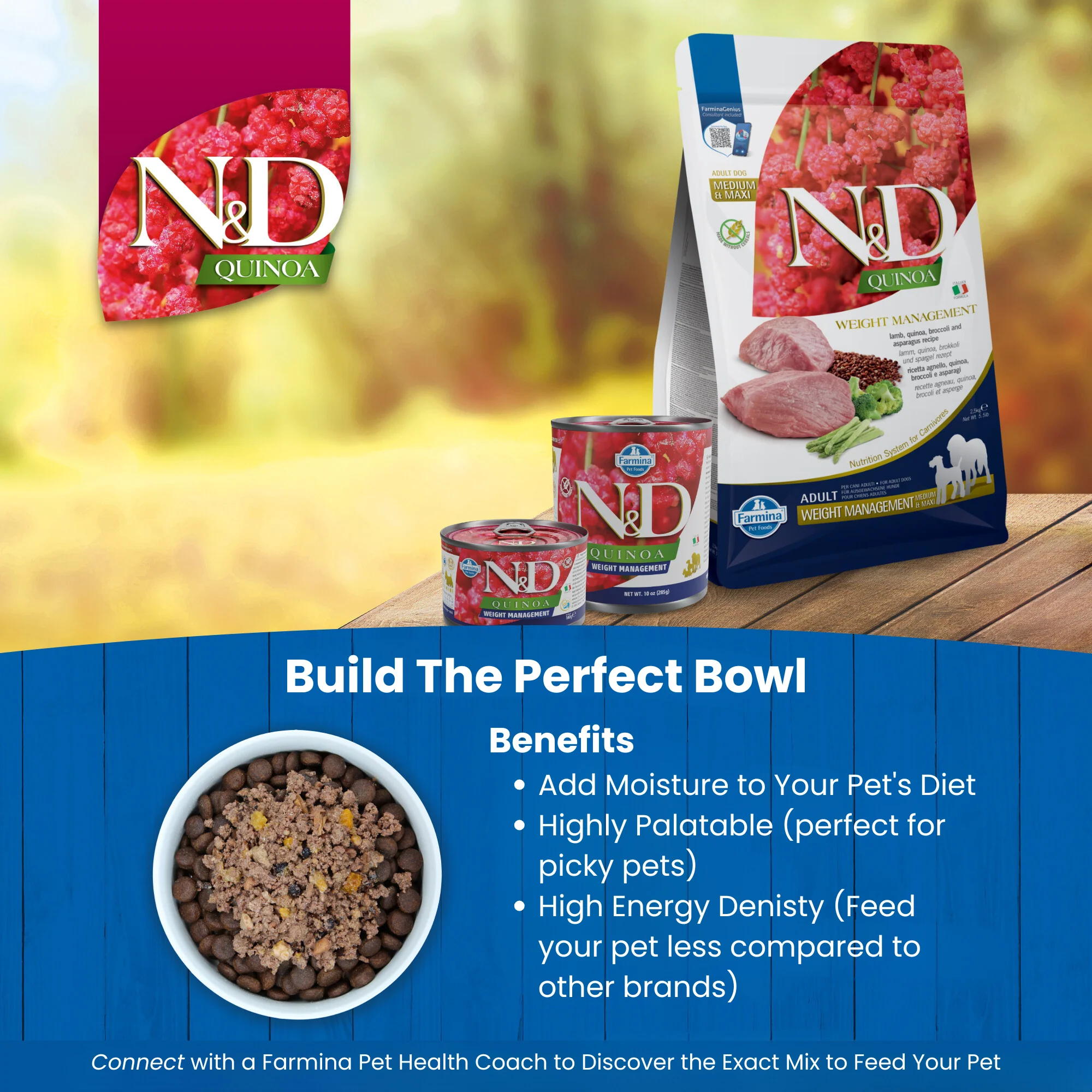 N&D Quinoa Weight Management Adult Wet Dog Food - Image 6