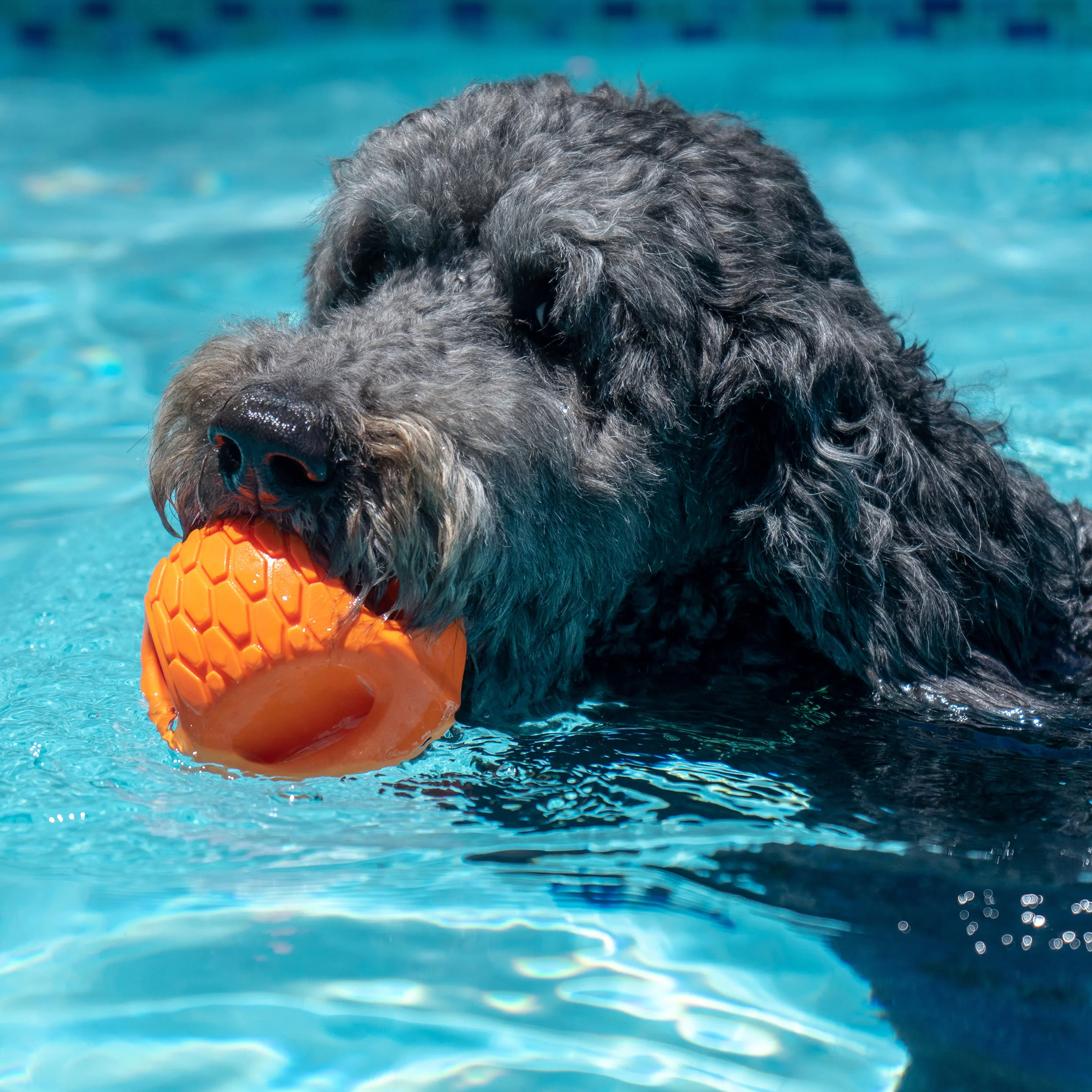 N-Gage Hydro Handler Regular Dog Toy - Orange - Image 2