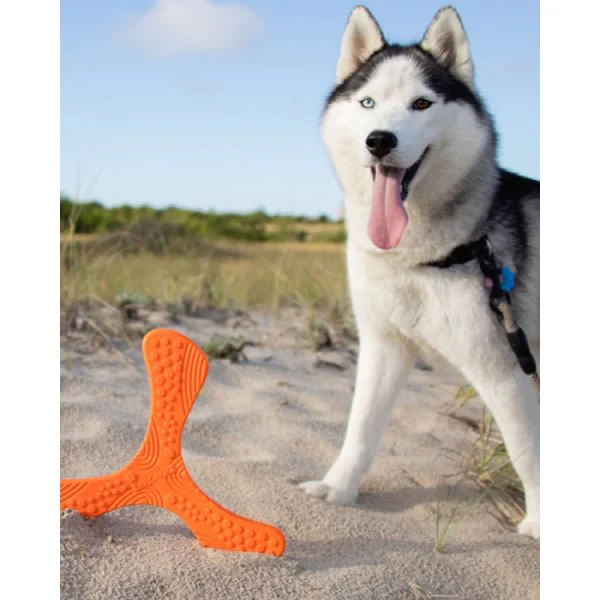 N-Gage Propeller Regular Dog Toy - Orange - Image 5