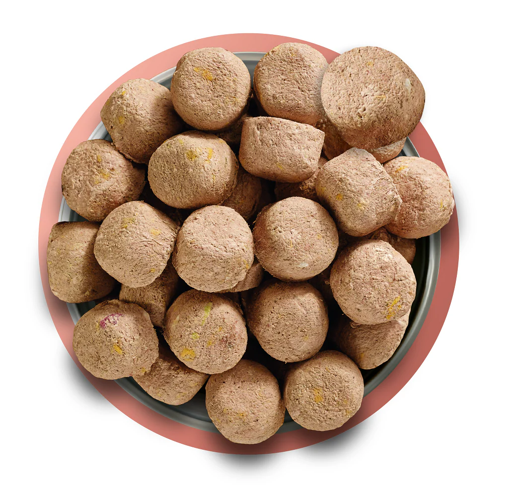 Natures Menu Complete and Balanced Adult Beef Dry Dog Food - Image 3