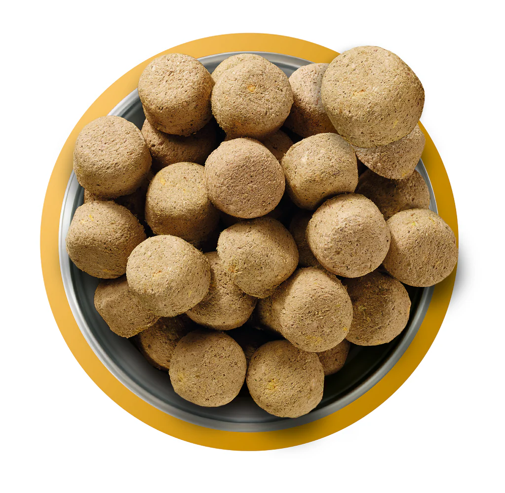 Natures Menu Complete and Balanced Adult Chicken Dry Dog Food - Image 3
