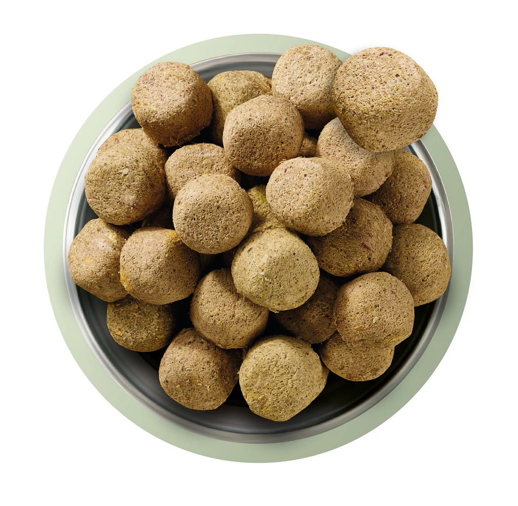 Natures Menu Complete and Balanced Adult Lamb Dry Dog Food - Image 3