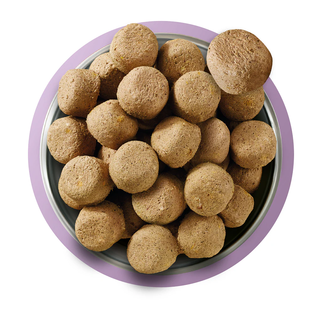 Natures Menu Complete and Balanced Adult Turkey Dry Dog Food - Image 3