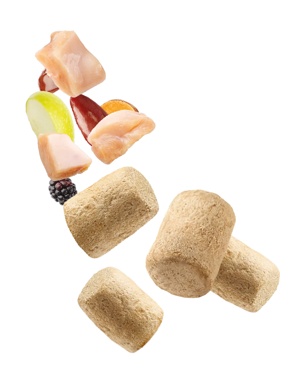 Natures Menu Raw Freeze Dried Chicken Toppers Adult Dry Dog Food - Image 7