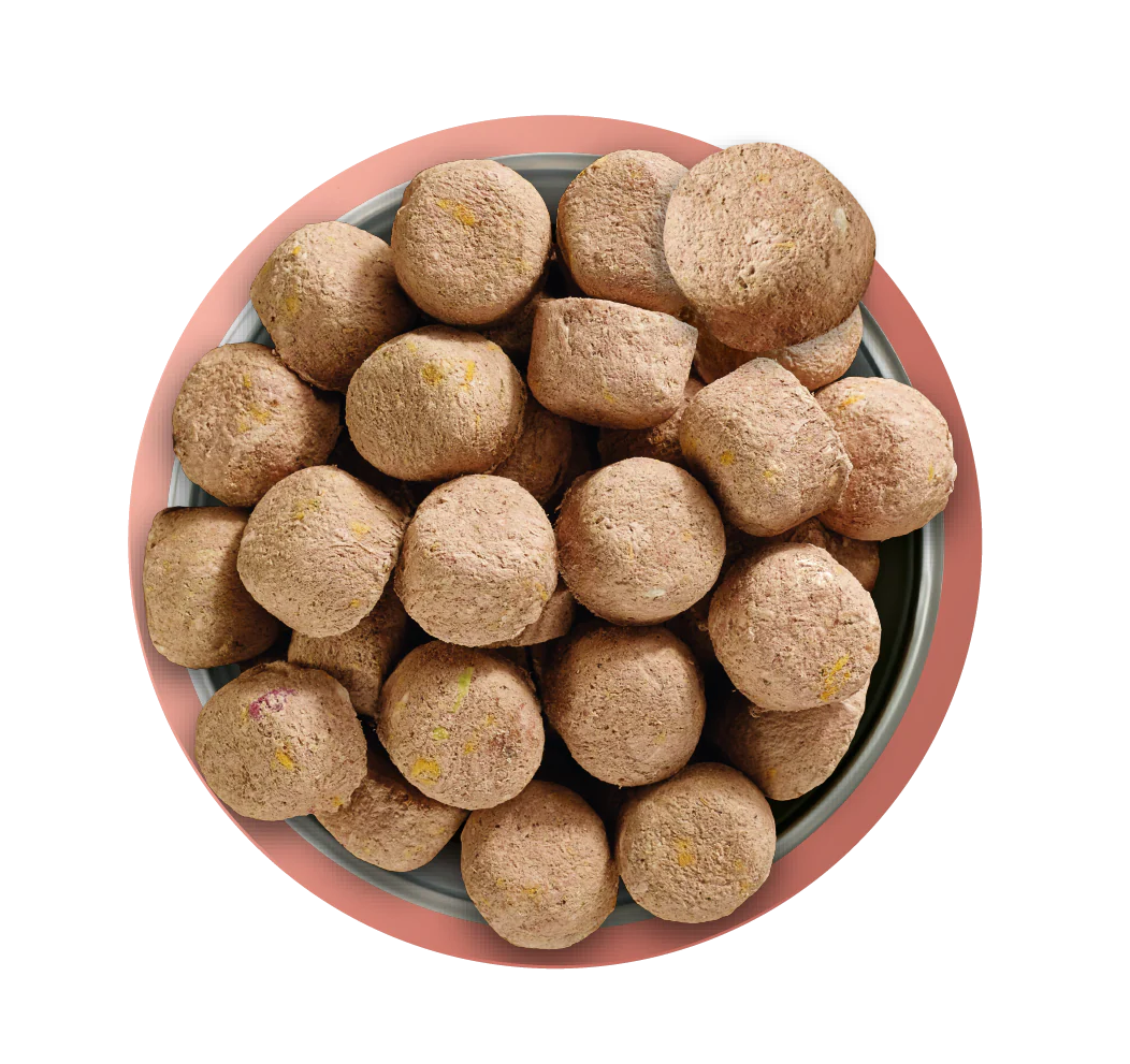 Natures Menu Raw Freeze Dried Complete and Balanced Adult Beef Dry Dog Food - Image 3