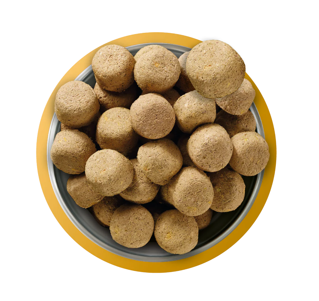 Natures Menu Raw Freeze Dried Complete and Balanced Adult Chicken Dry Dog Food - Image 3