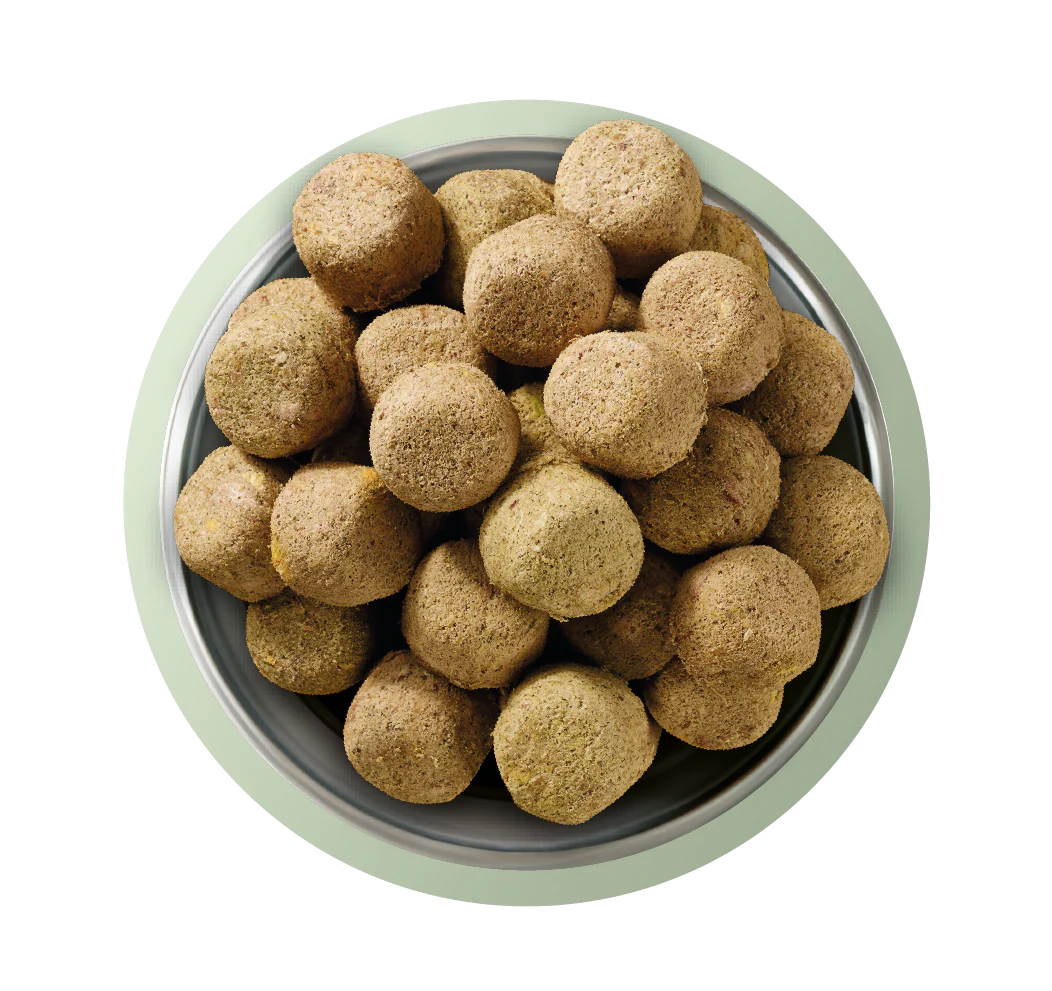 Natures Menu Raw Freeze Dried Complete and Balanced Adult Lamb Dry Dog Food - Image 3