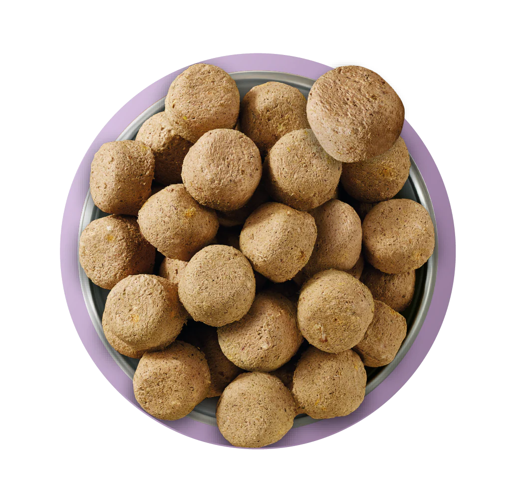 Natures Menu Raw Freeze Dried Complete and Balanced Adult Turkey Dry Dog Food - Image 3