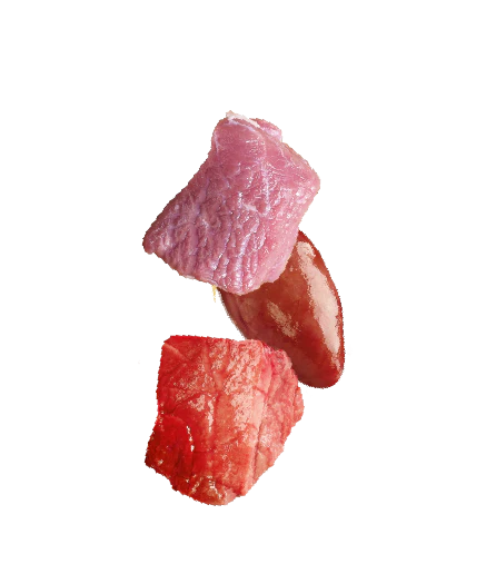 Natures Menu Raw Freeze Dried Lamb Bites Dog Treats - Image 3