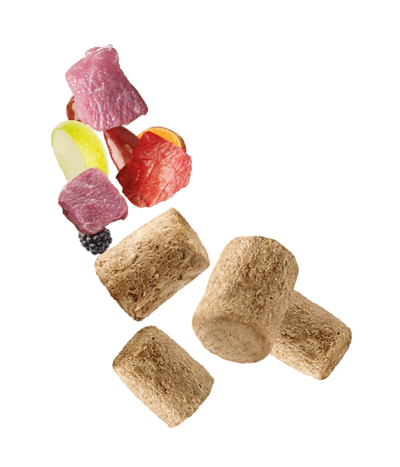 Natures Menu Raw Freeze Dried Lamb Toppers Adult Dry Dog Food - Image 4