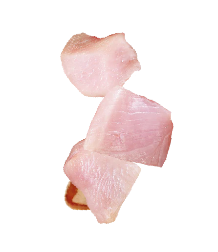 Natures Menu Raw Freeze Dried Turkey Bites Dog Treats - Image 3
