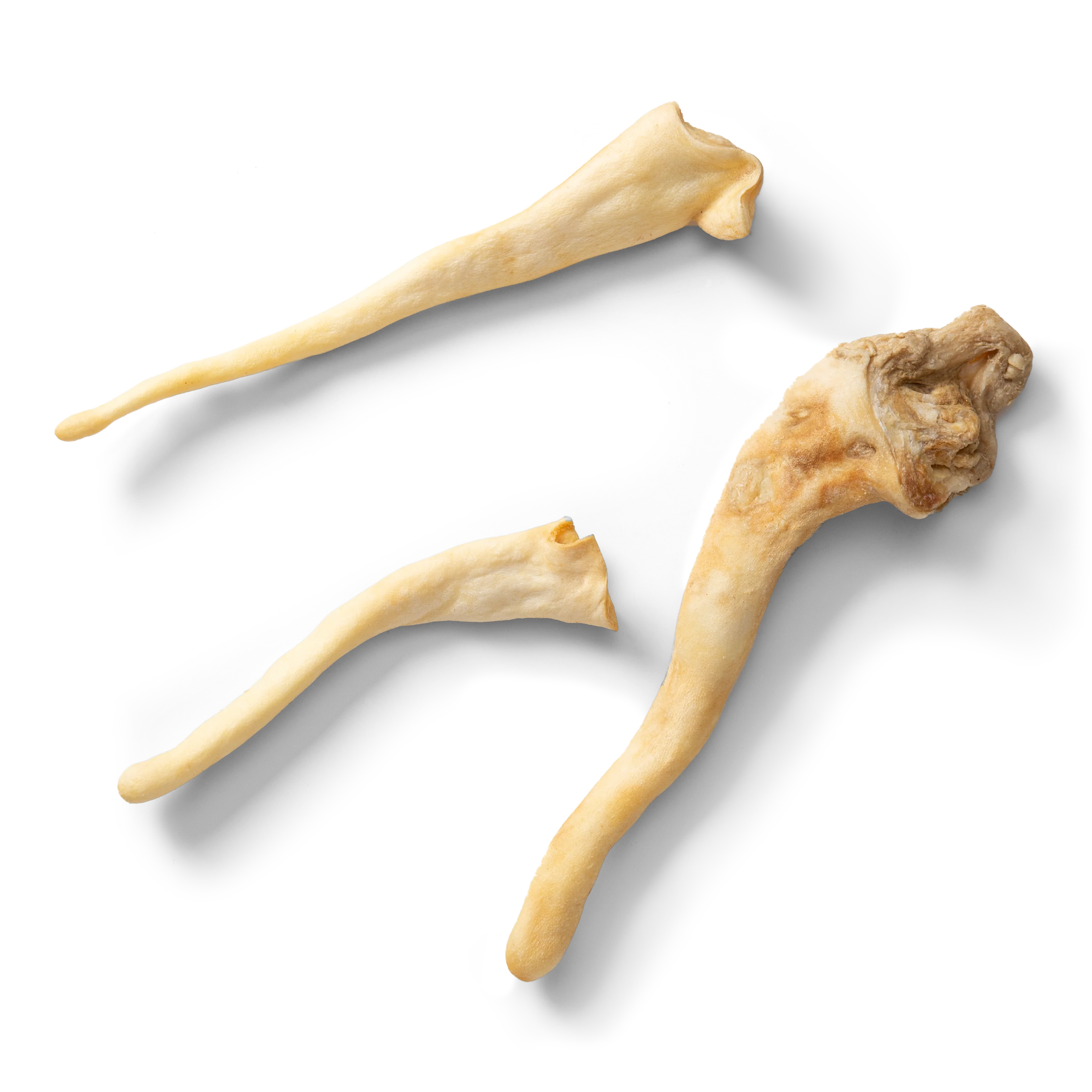 NAW Natural Lamb Tails Dog Chew Treats - Image 2