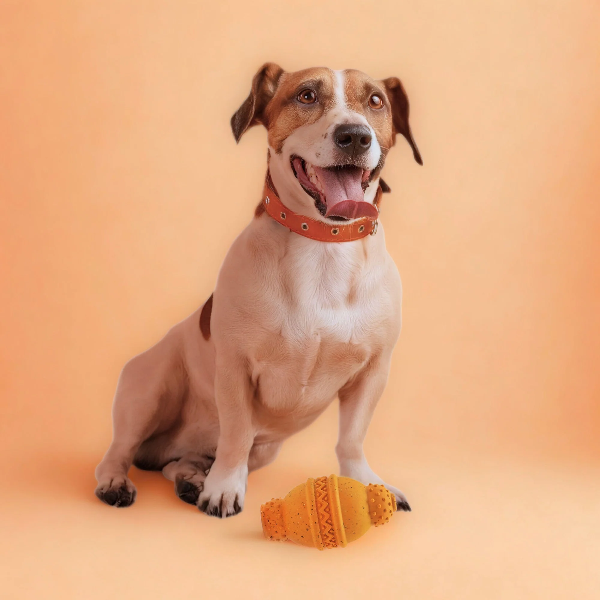 Max Fusion Cannon Dog Toy - Image 5
