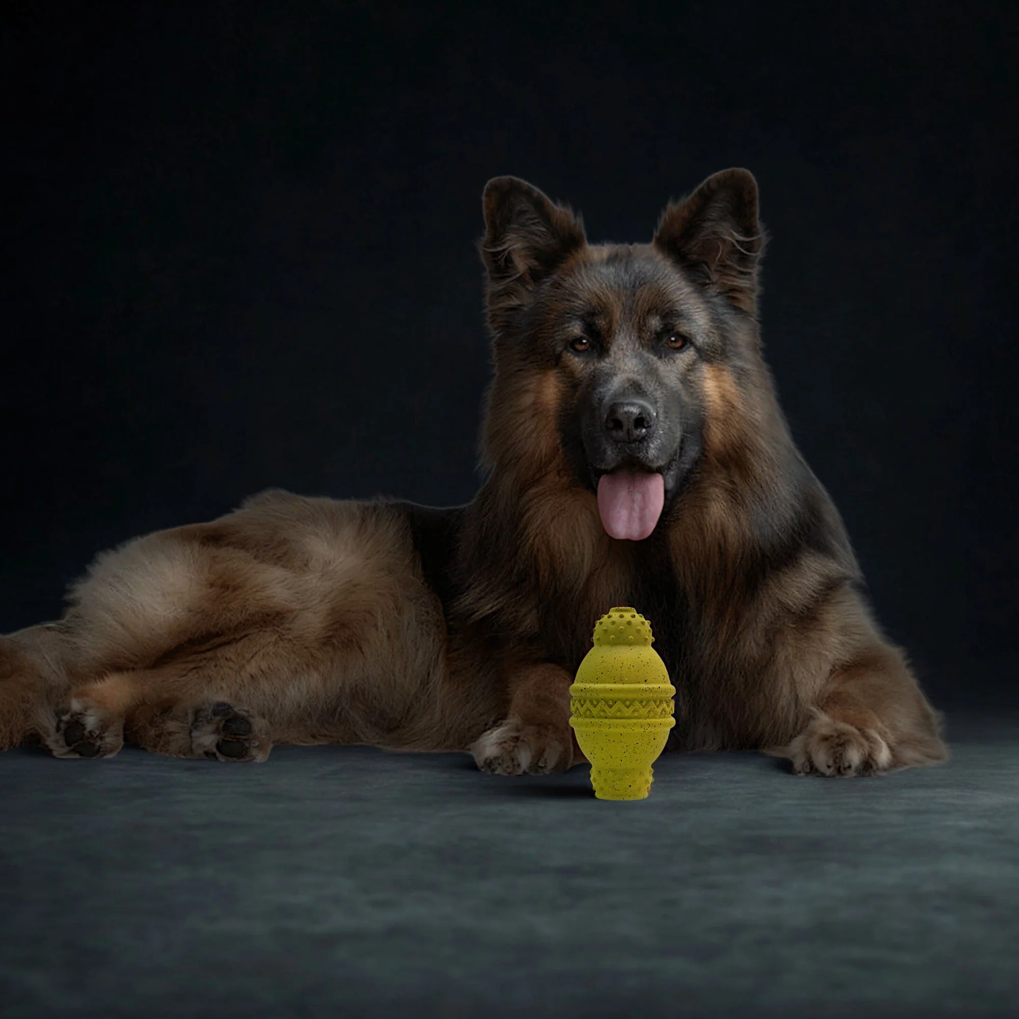 Max Fusion Cannon Dog Toy - Image 7