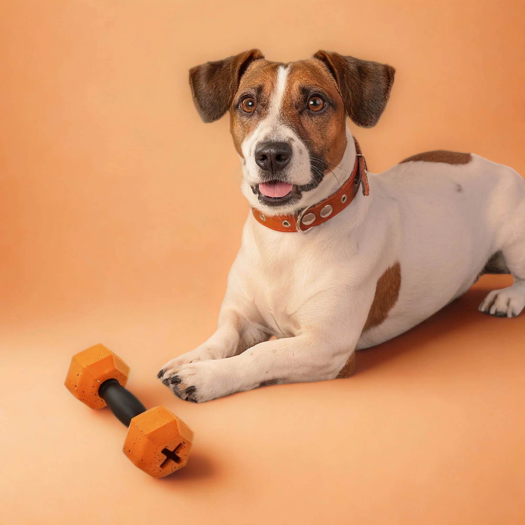 Max Fusion Fusion Dumbbell Dog Toy - Image 5