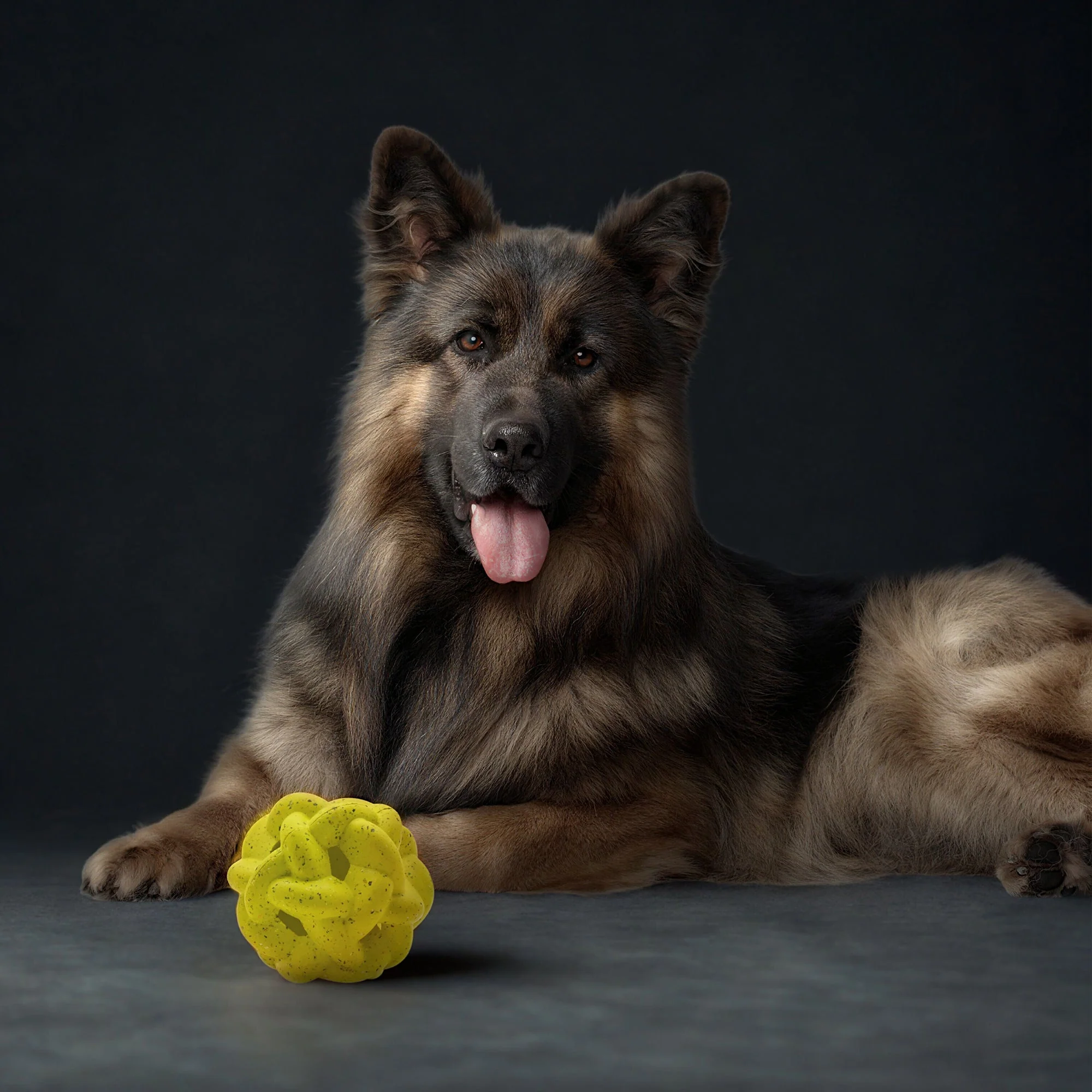 Max Fusion Gyro Dog Toy - Image 3