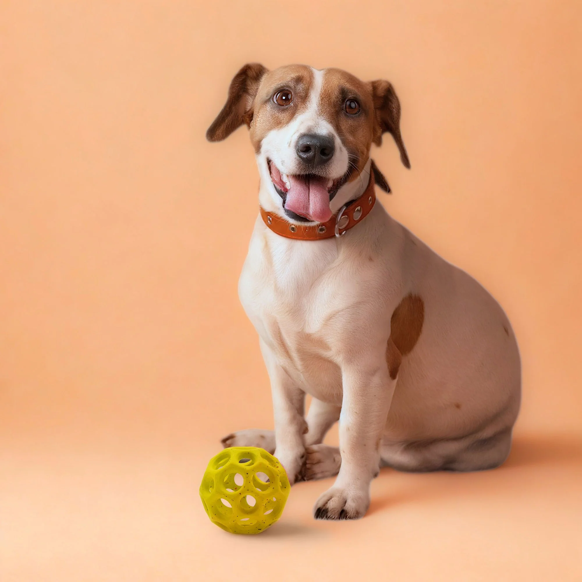 Max Fusion Helix Dog Toy - Image 4