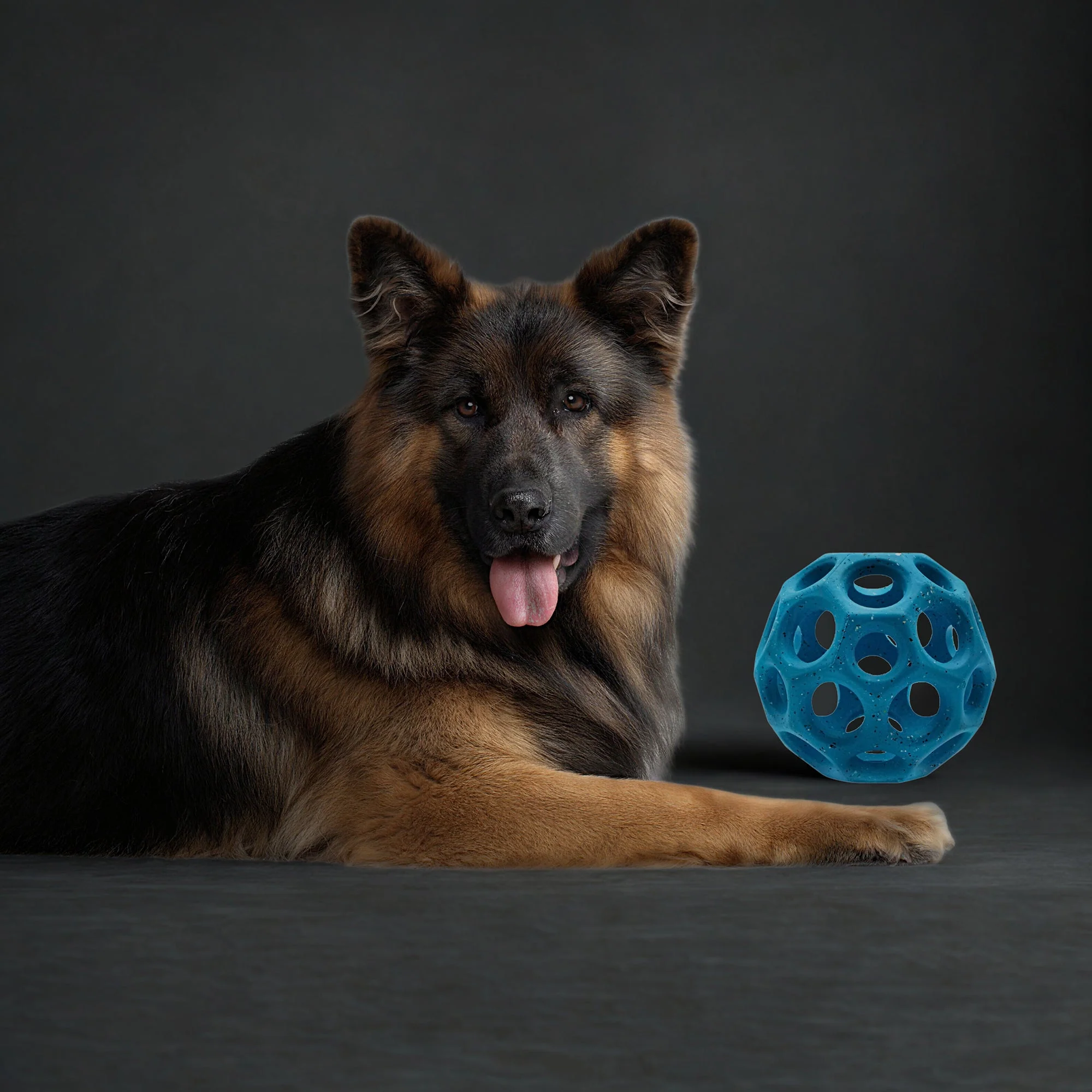 Max Fusion Helix Dog Toy - Image 7