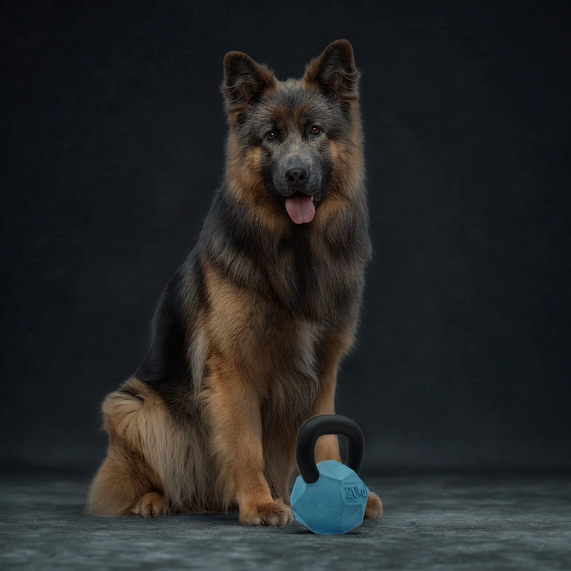 Max Fusion Kettle Bell Dog Toy - Image 5
