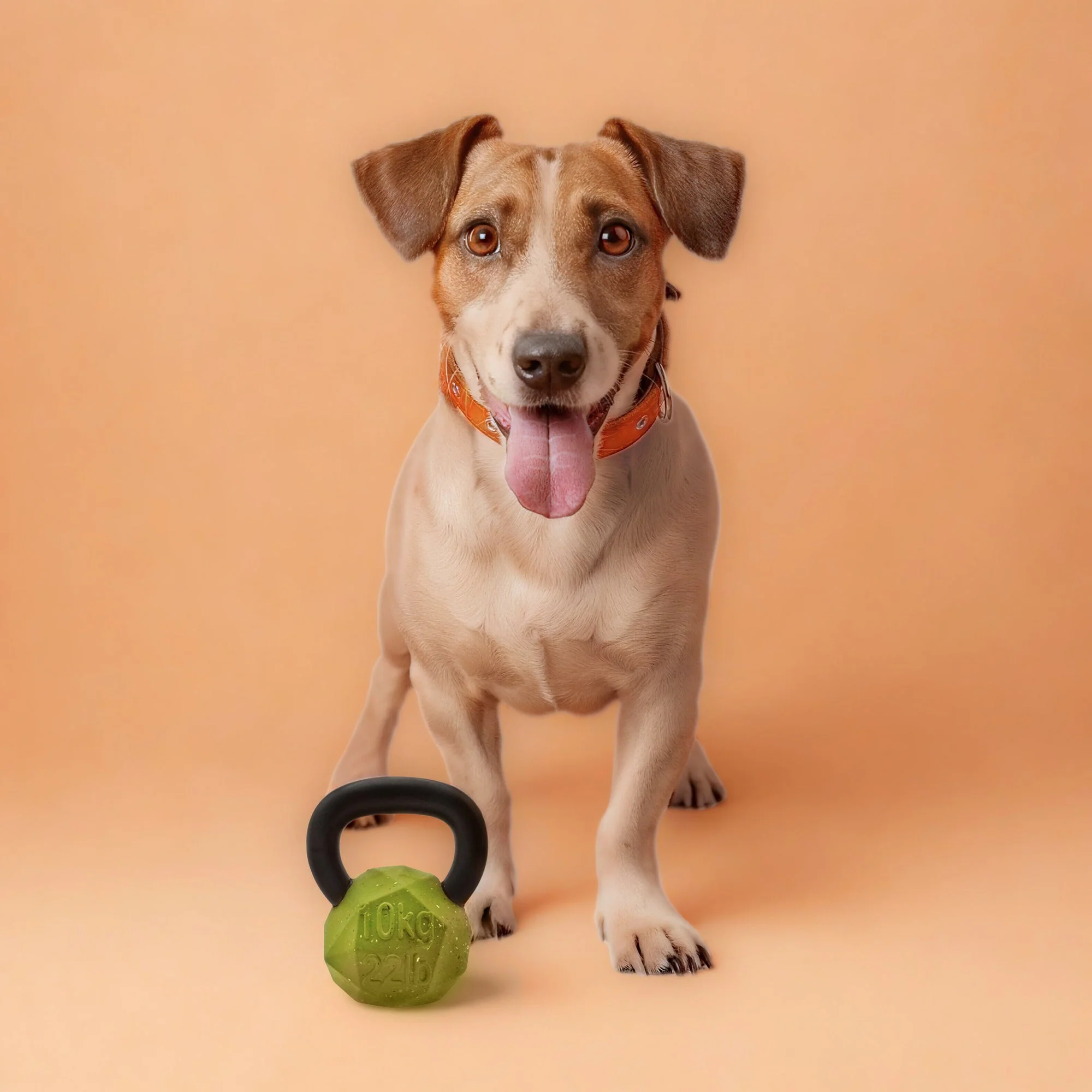 Max Fusion Kettle Bell Dog Toy - Image 6