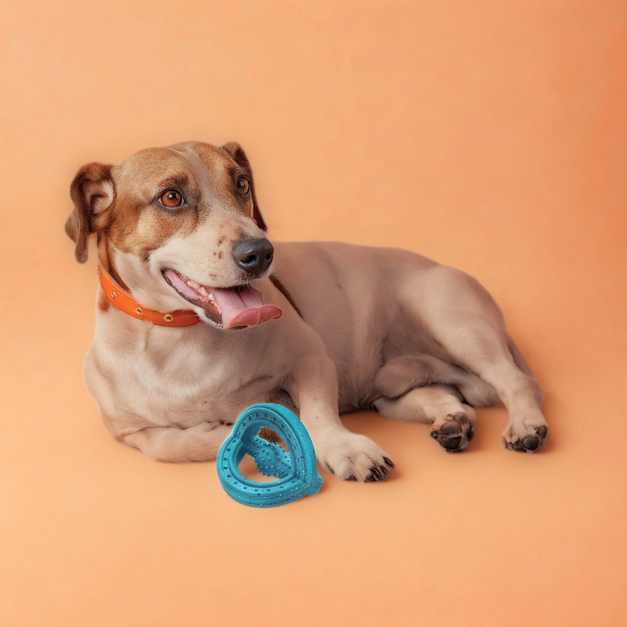 Max Fusion Phoenix Dog Toy - Image 3