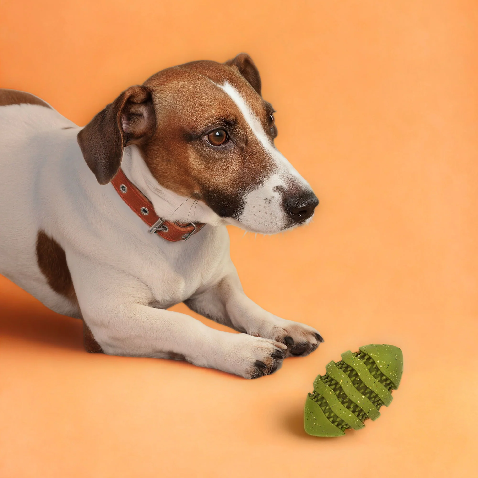 Max Fusion Spiro Football Dog Toy - Image 3