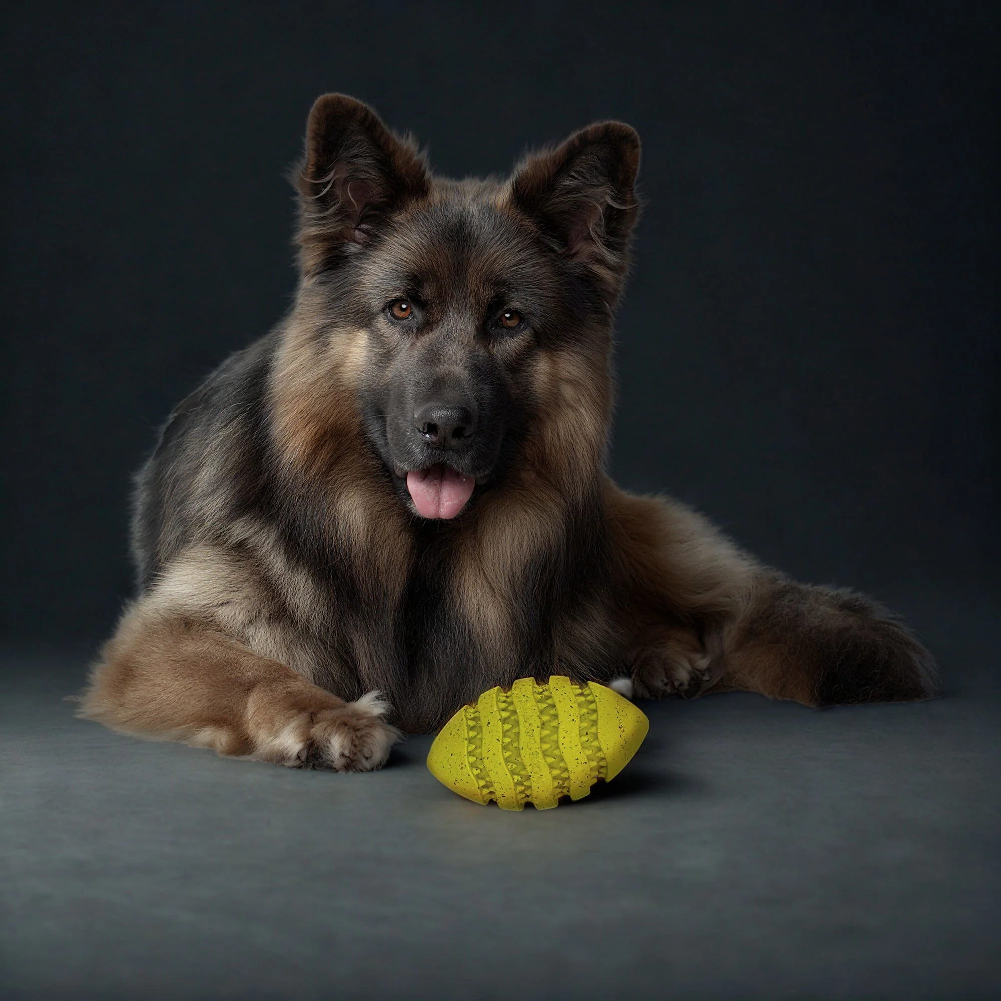 Max Fusion Spiro Football Dog Toy - Image 5
