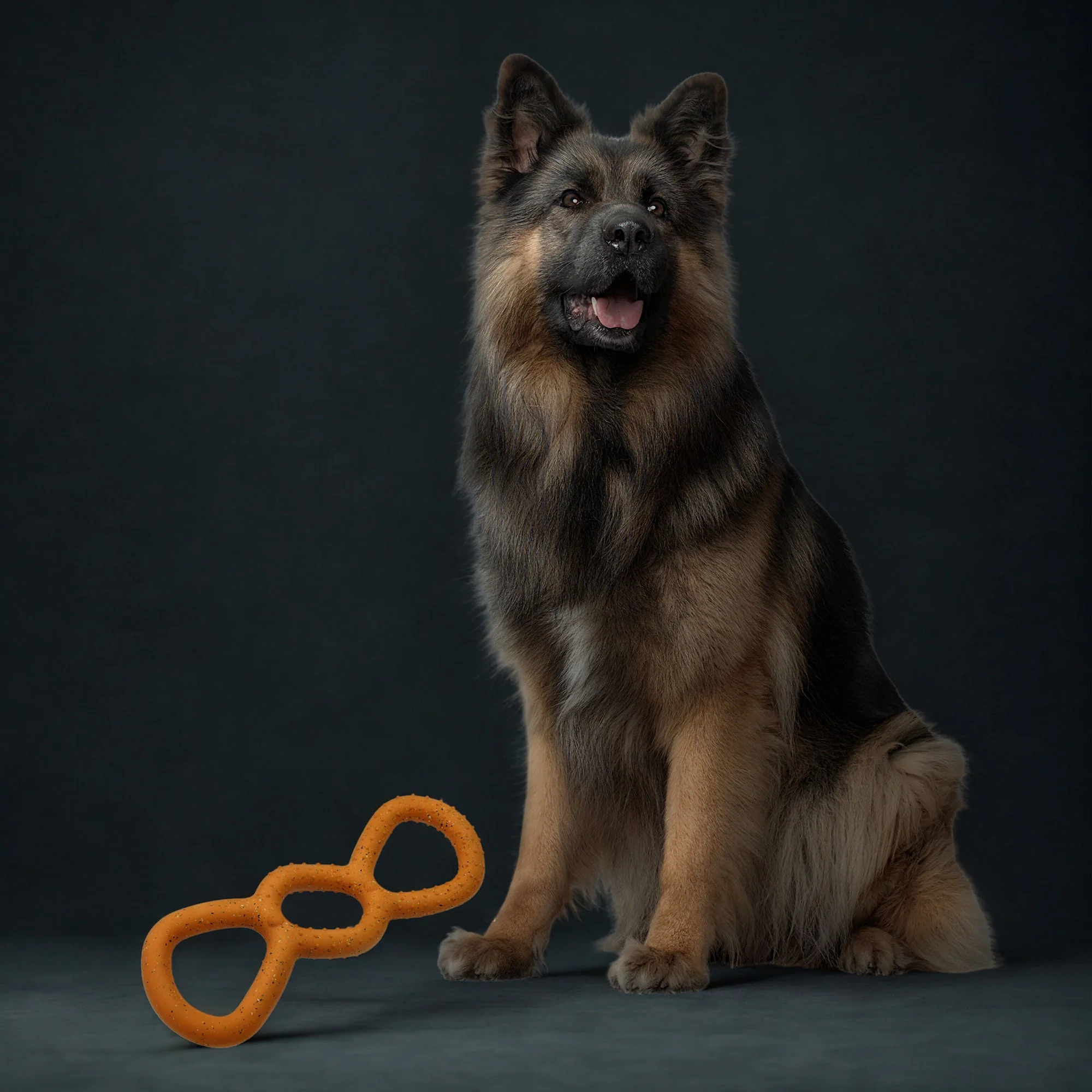 Max Fusion Tug Dog Toy - Image 3