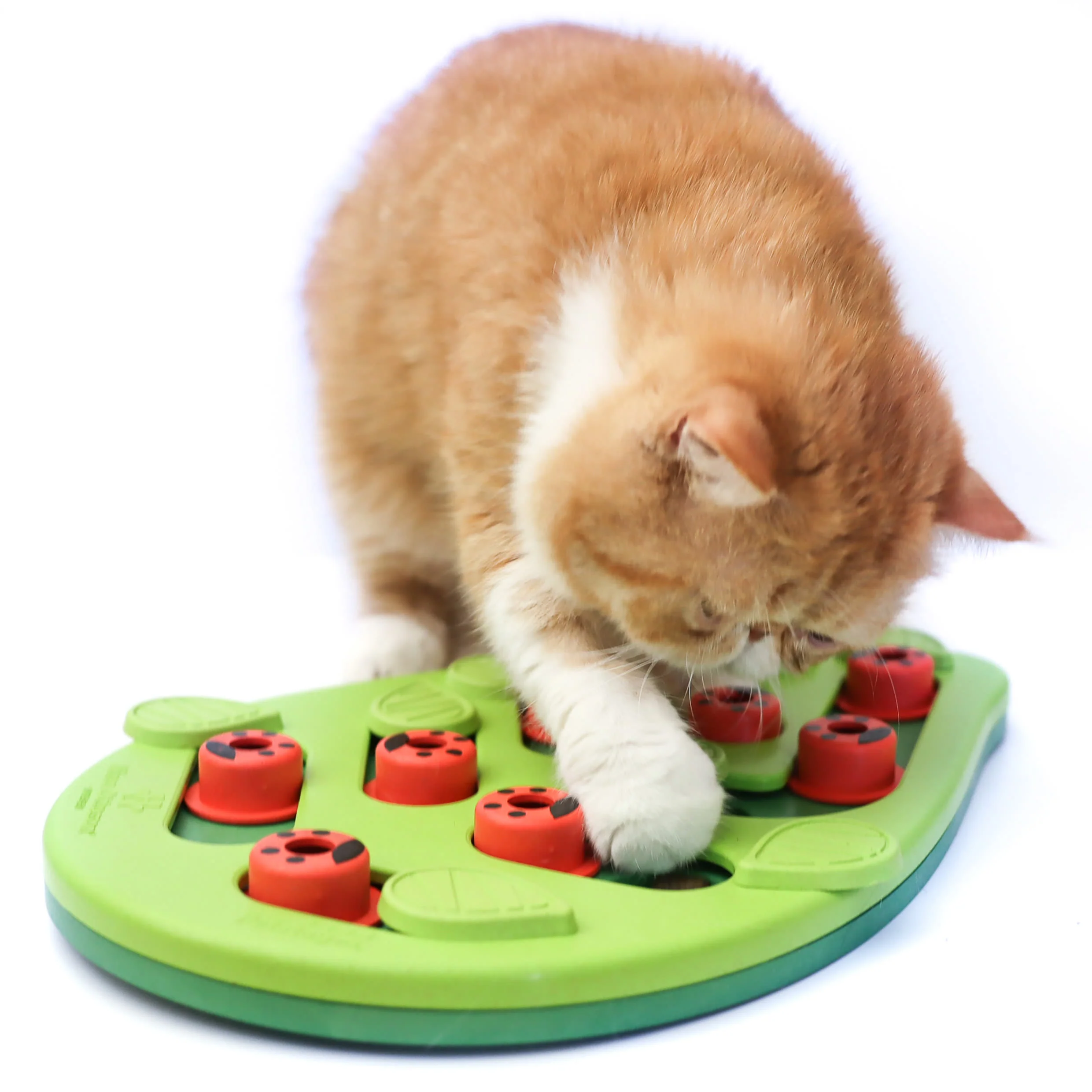 Nina Ottosson Buggin Out Green Puzzle & Play Dog Toy - Image 2