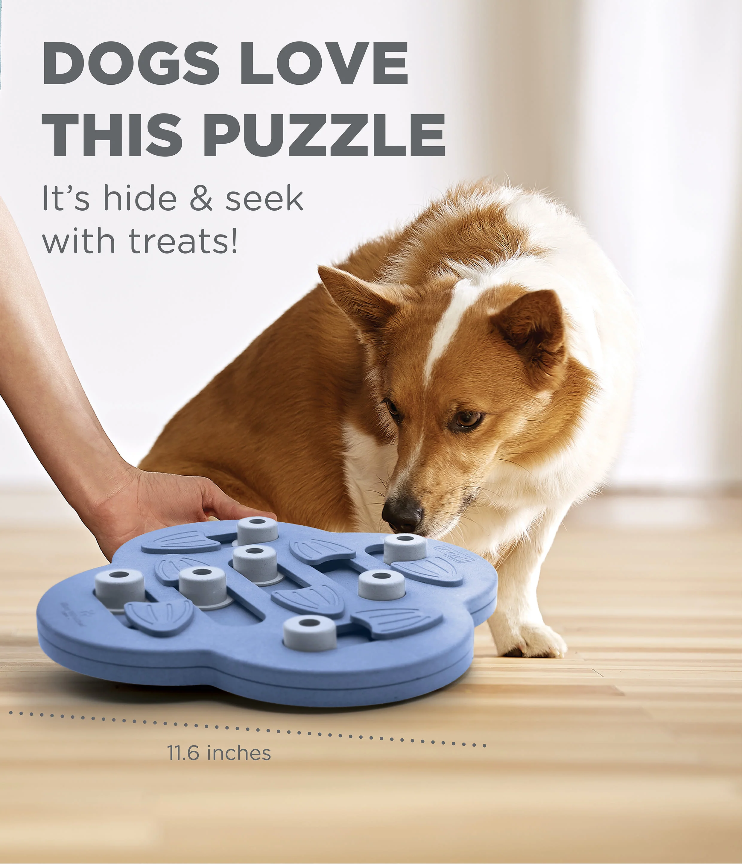 Nina Ottosson Hide N Slide Puzzle Dog Toy - Image 2