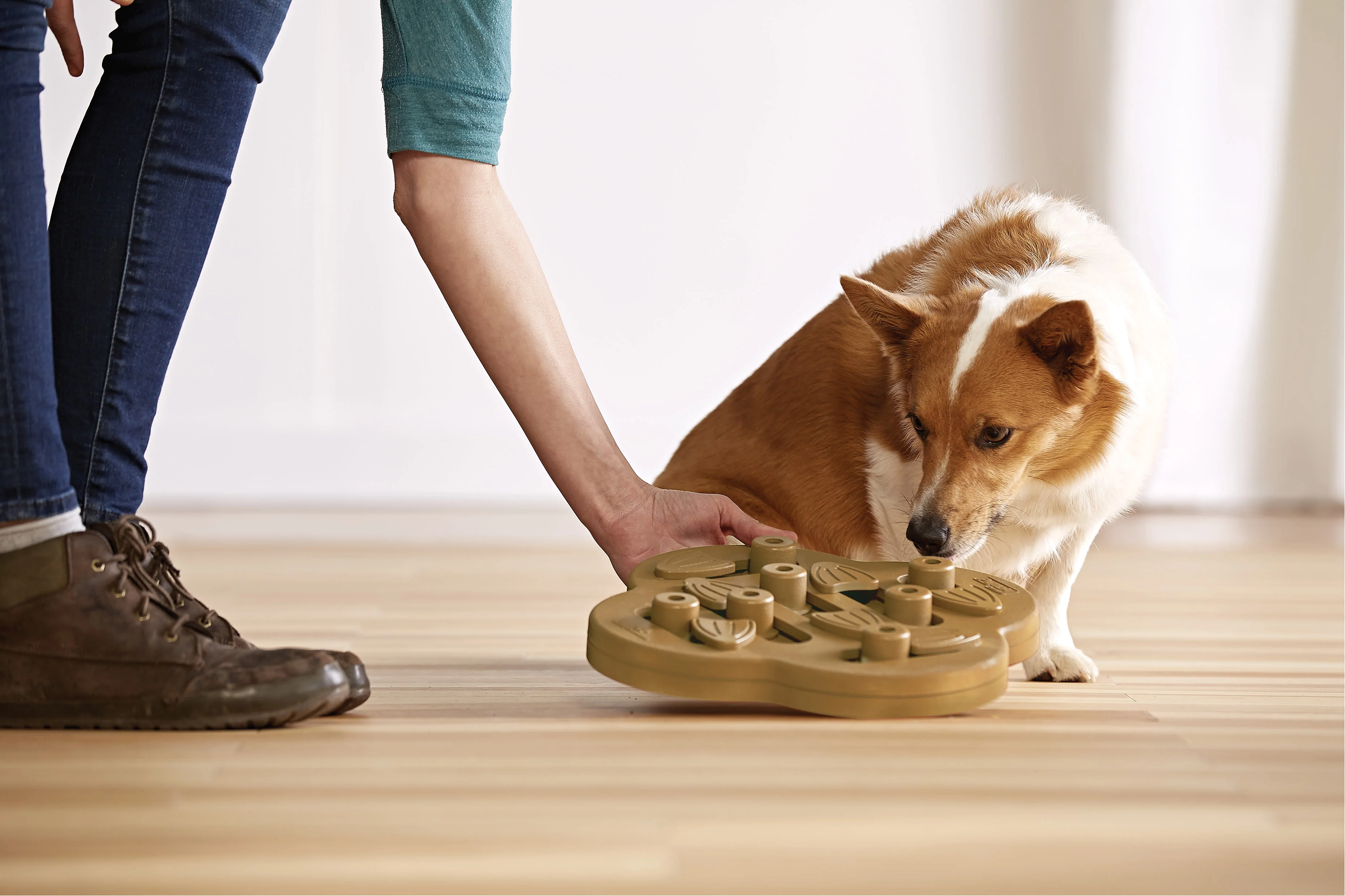 Nina Ottosson Hide N Slide Treat Puzzle Dog Toy - Image 2