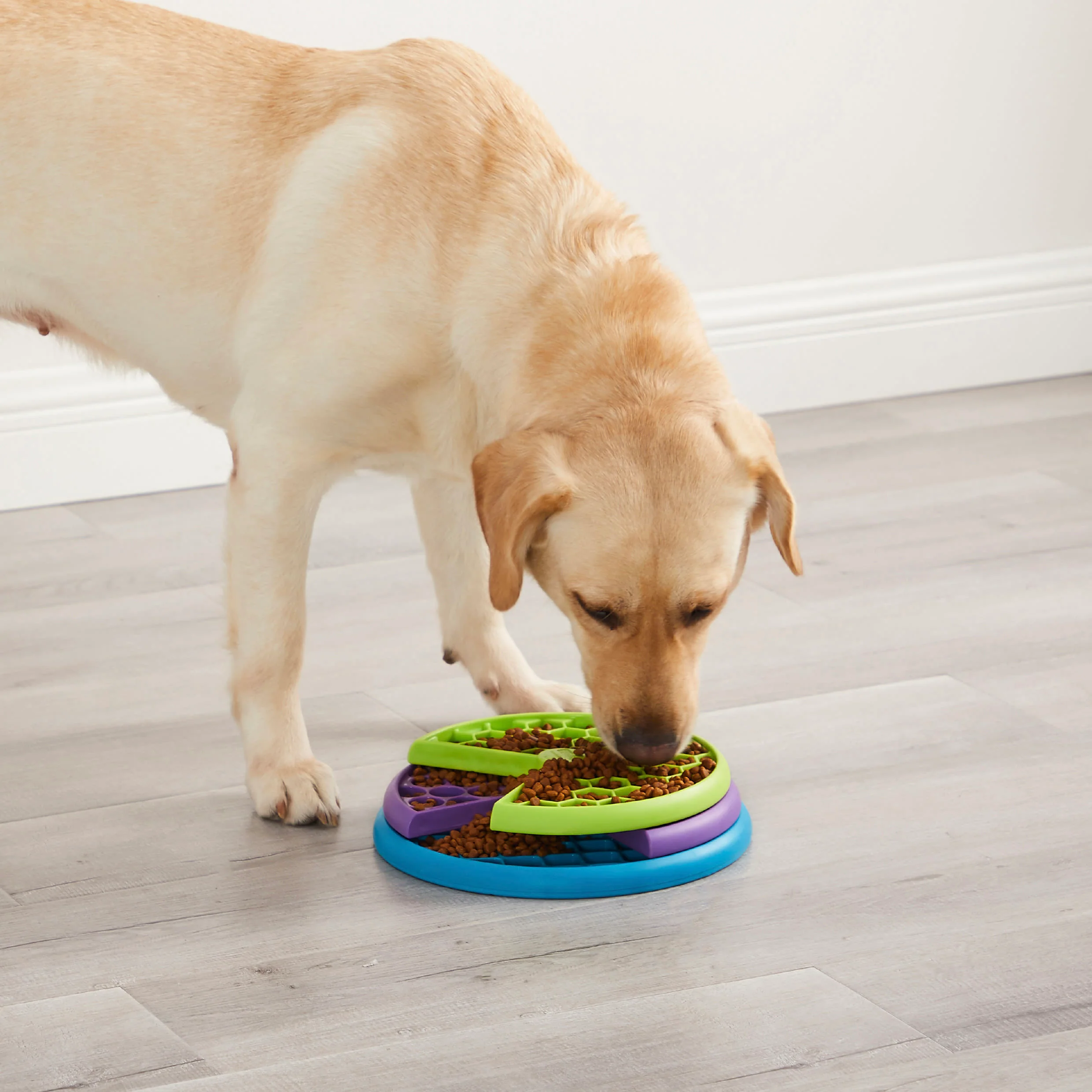 Nina Ottosson Lickin' Layers Puzzle Dog Toy - Image 2