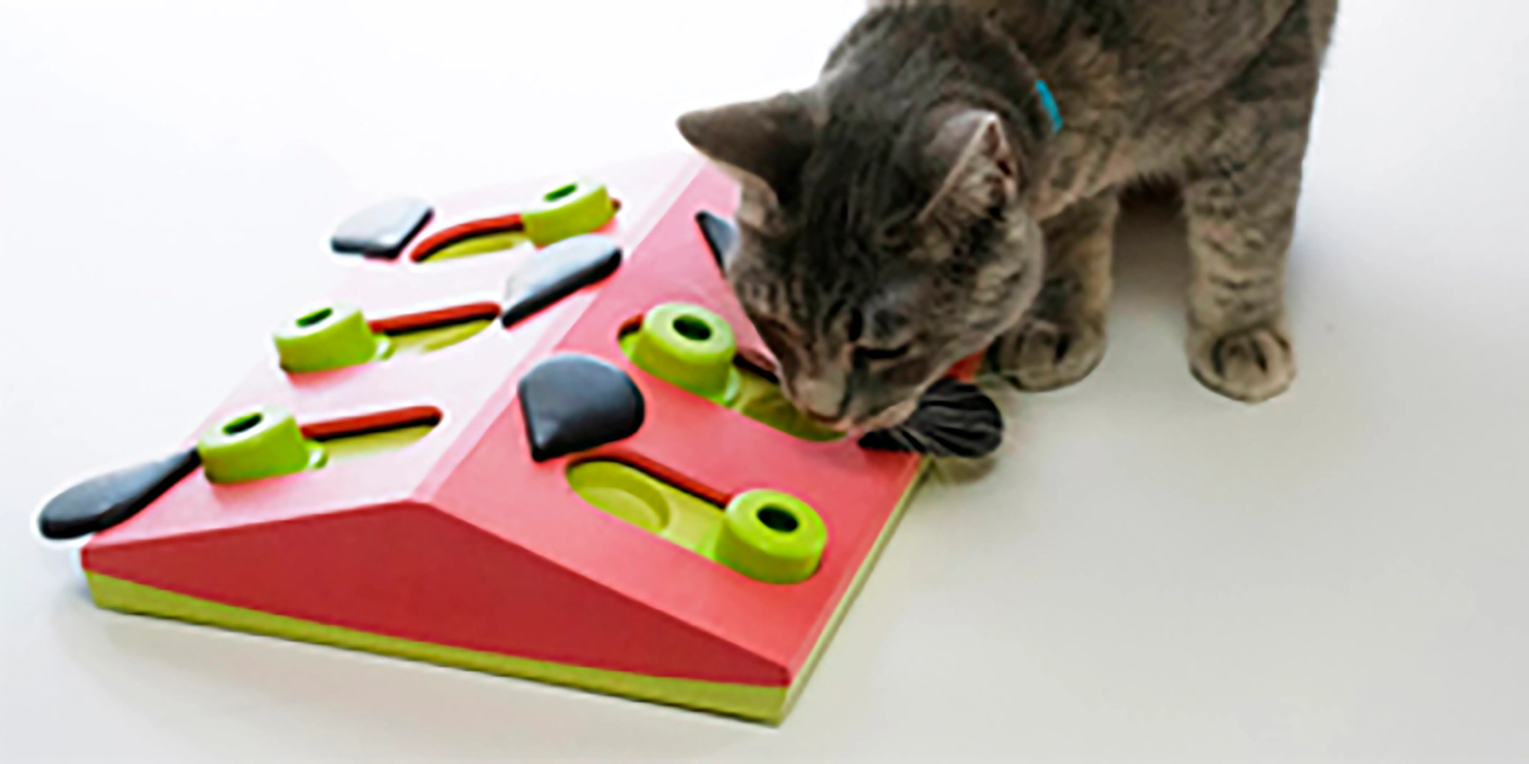 Nina Ottosson Puzzle & Play Melon Dog Toy - Image 2
