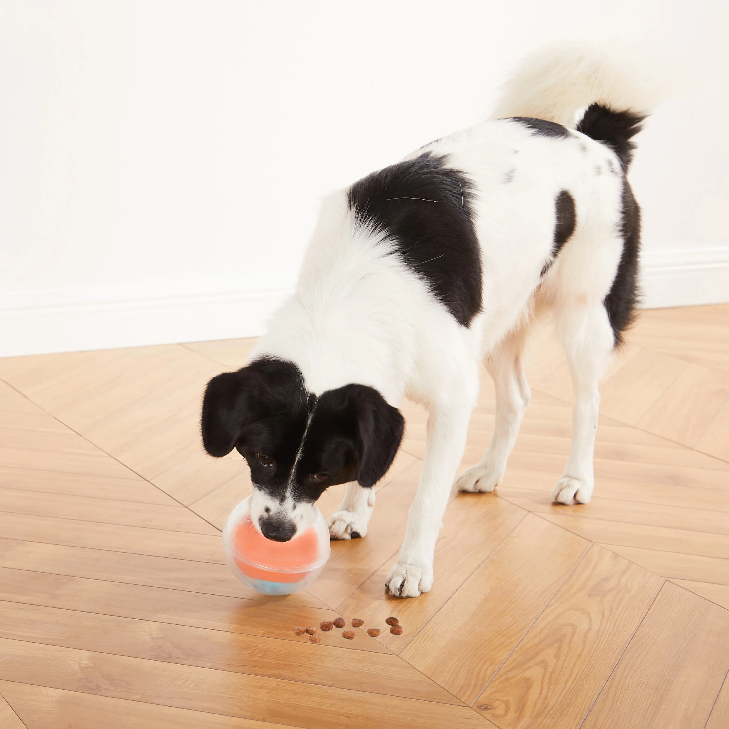 Nina Ottosson Rumble Treat Puzzle Dog Toy - Image 2