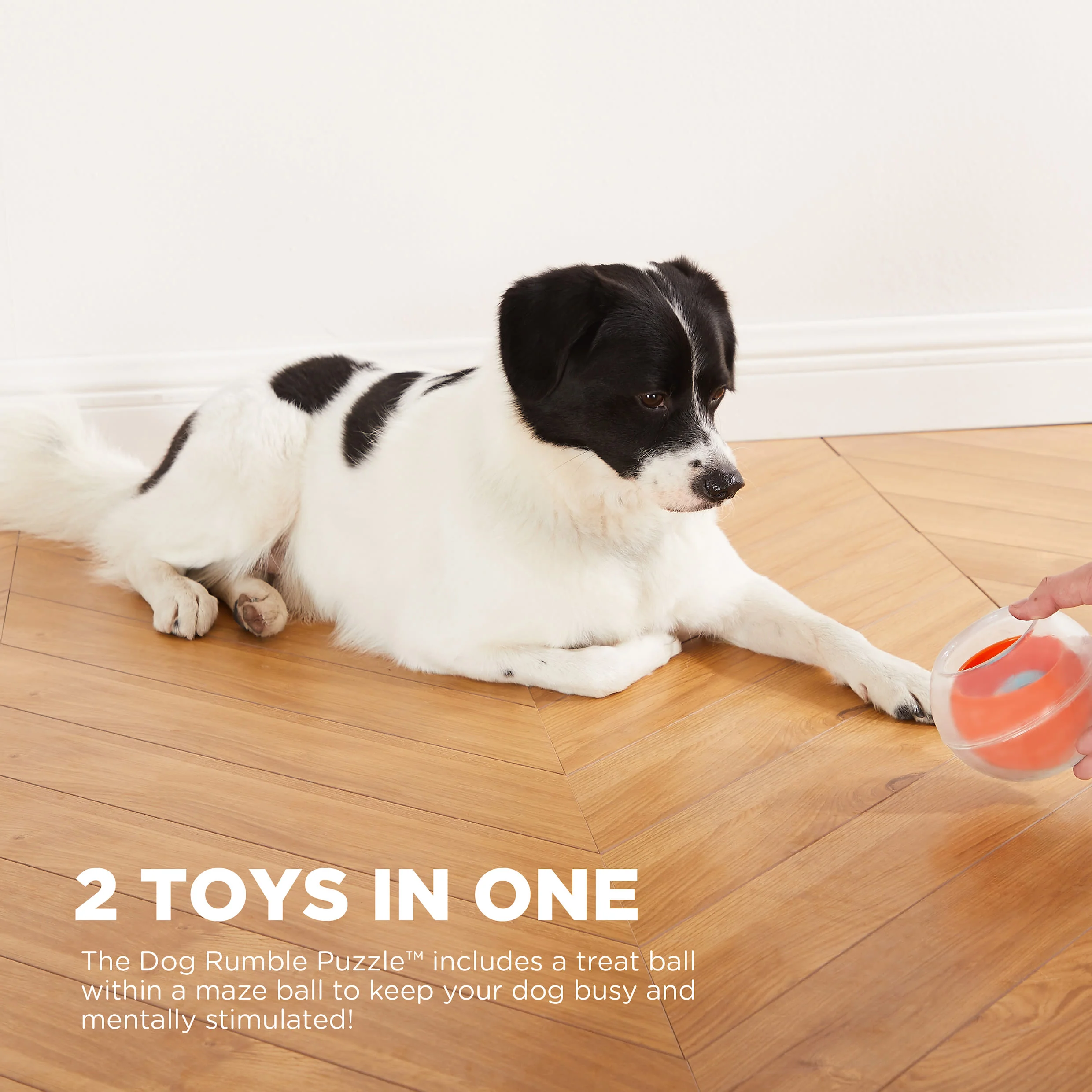 Nina Ottosson Rumble Treat Puzzle Dog Toy - Image 3