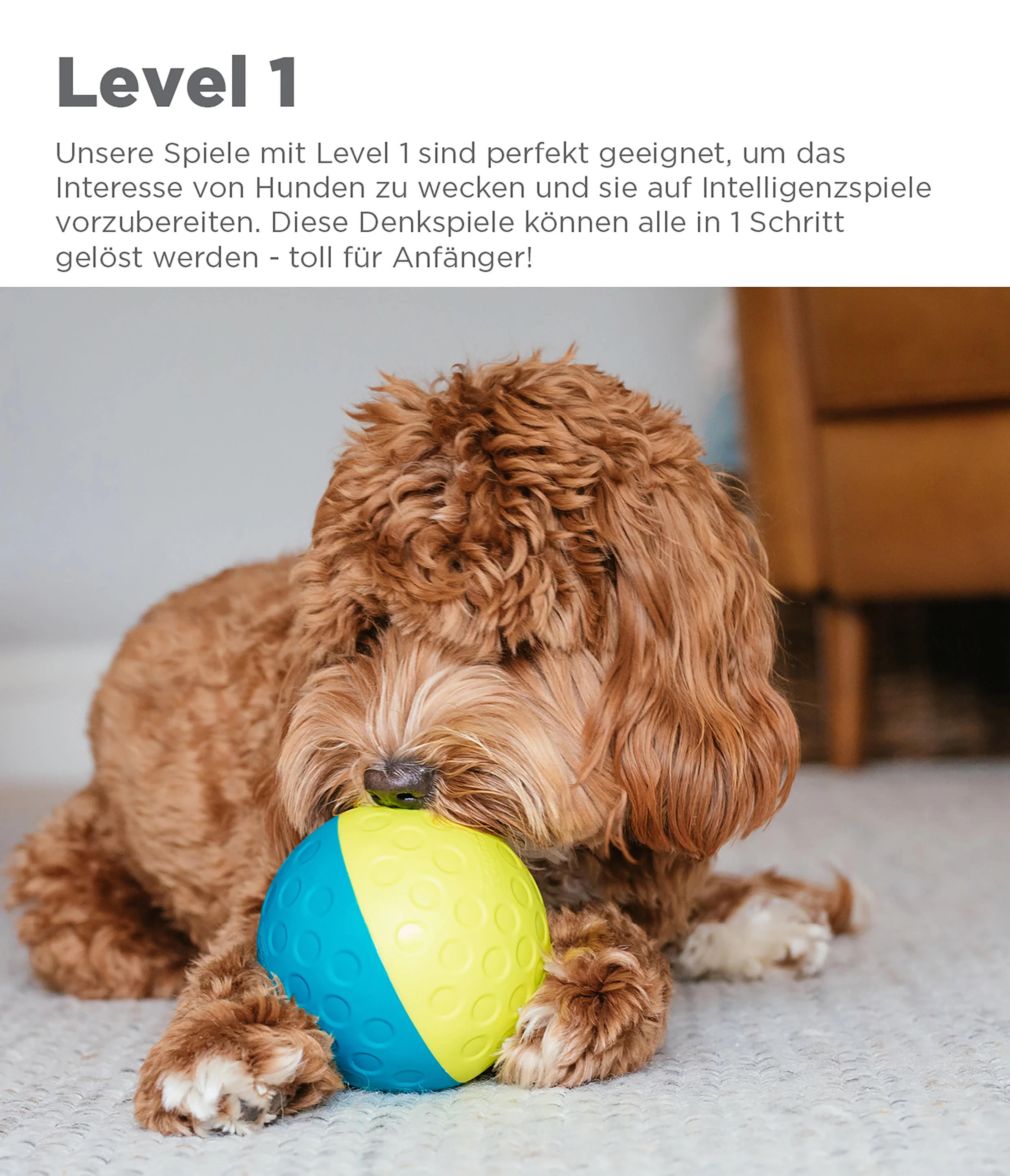 Nina Ottosson Treat Tumble Blue Puzzle Dog Toy - Image 2