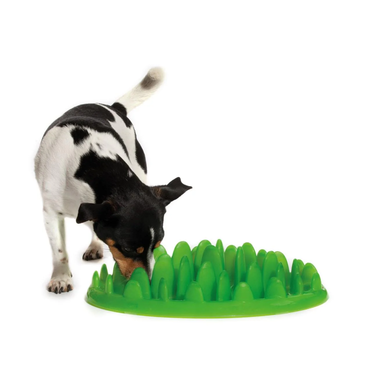 Northmate Green Slow Dog Feeder - Image 3