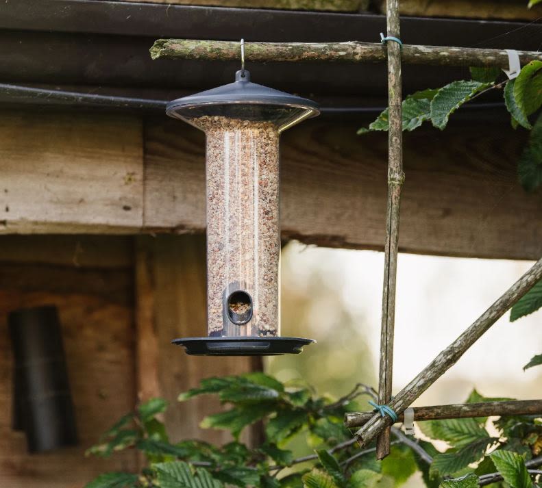 Peckish Funnel Seed Feeder for Wild Birds - Image 2