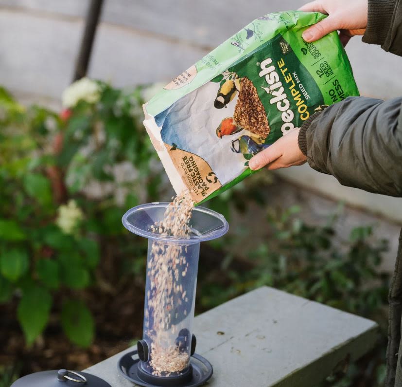 Peckish Funnel Seed Feeder for Wild Birds - Image 3